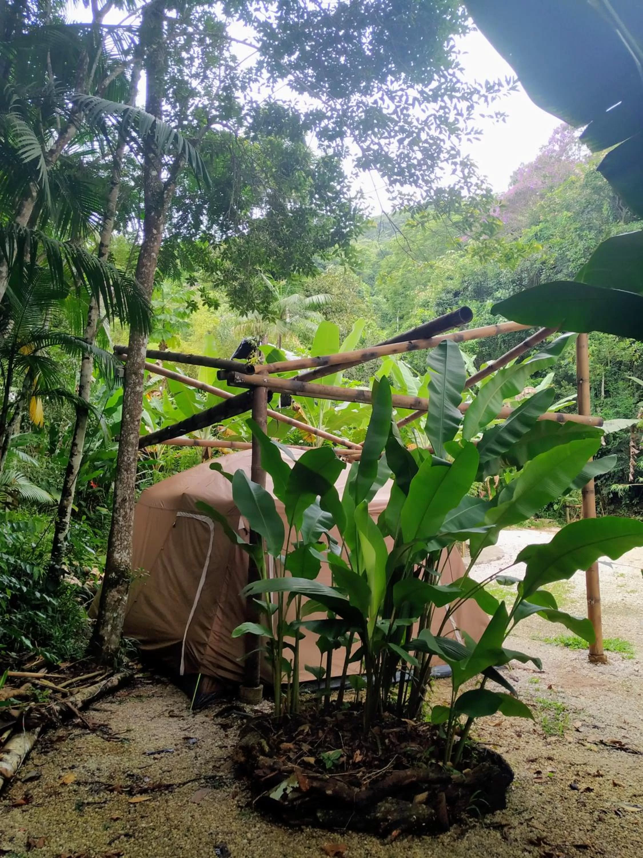 Garden in Sitio Simple Life