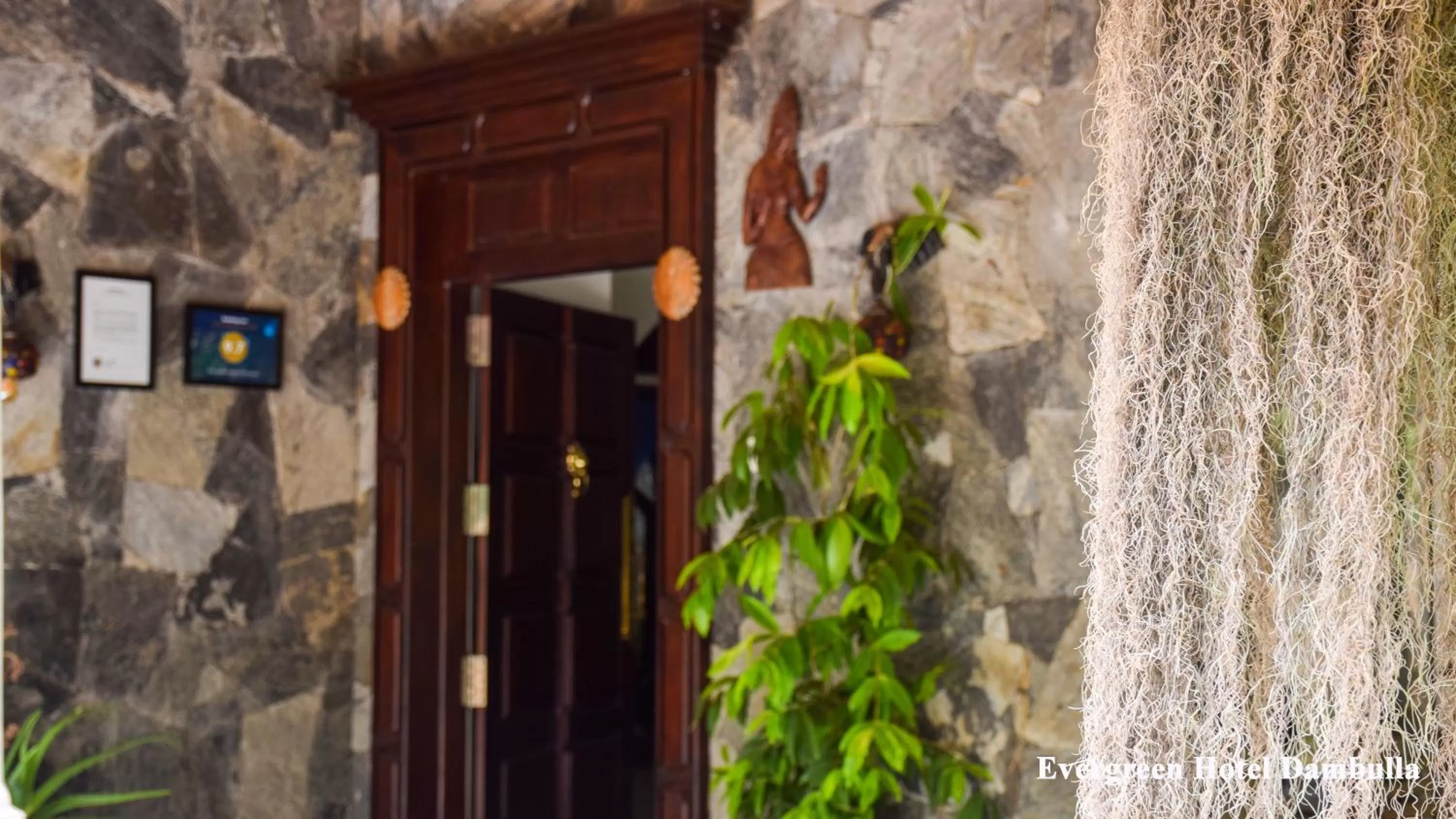 Day in Evergreen Hotel Dambulla