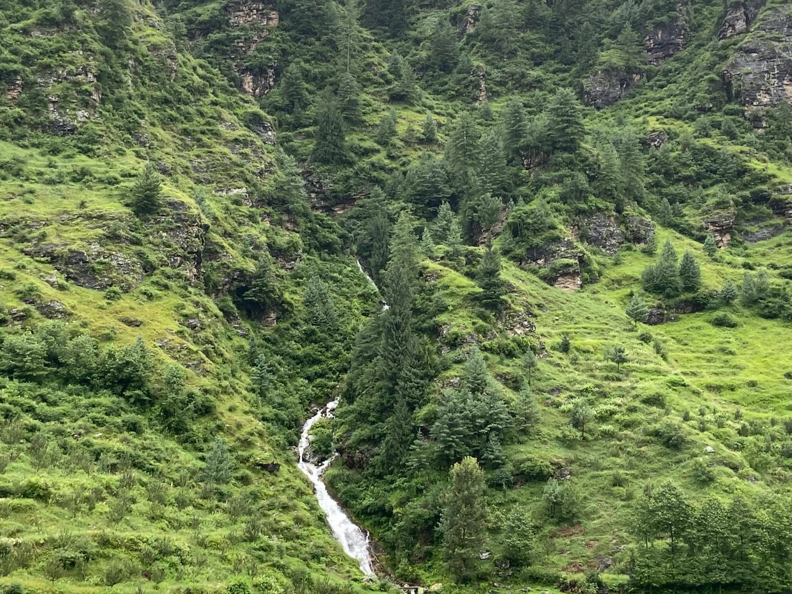 Solang Valley Resort