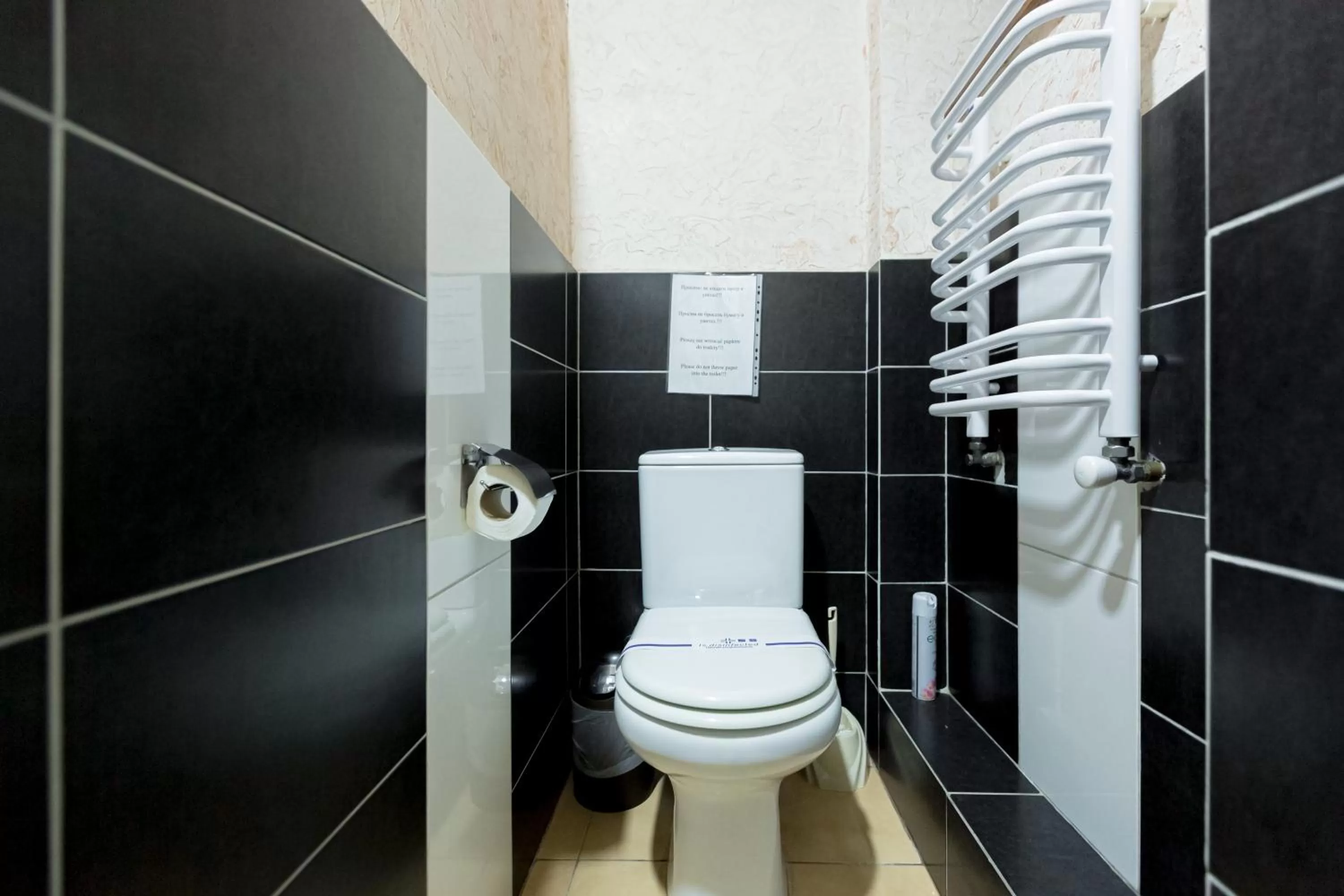 Bathroom in Staryi Krakiv