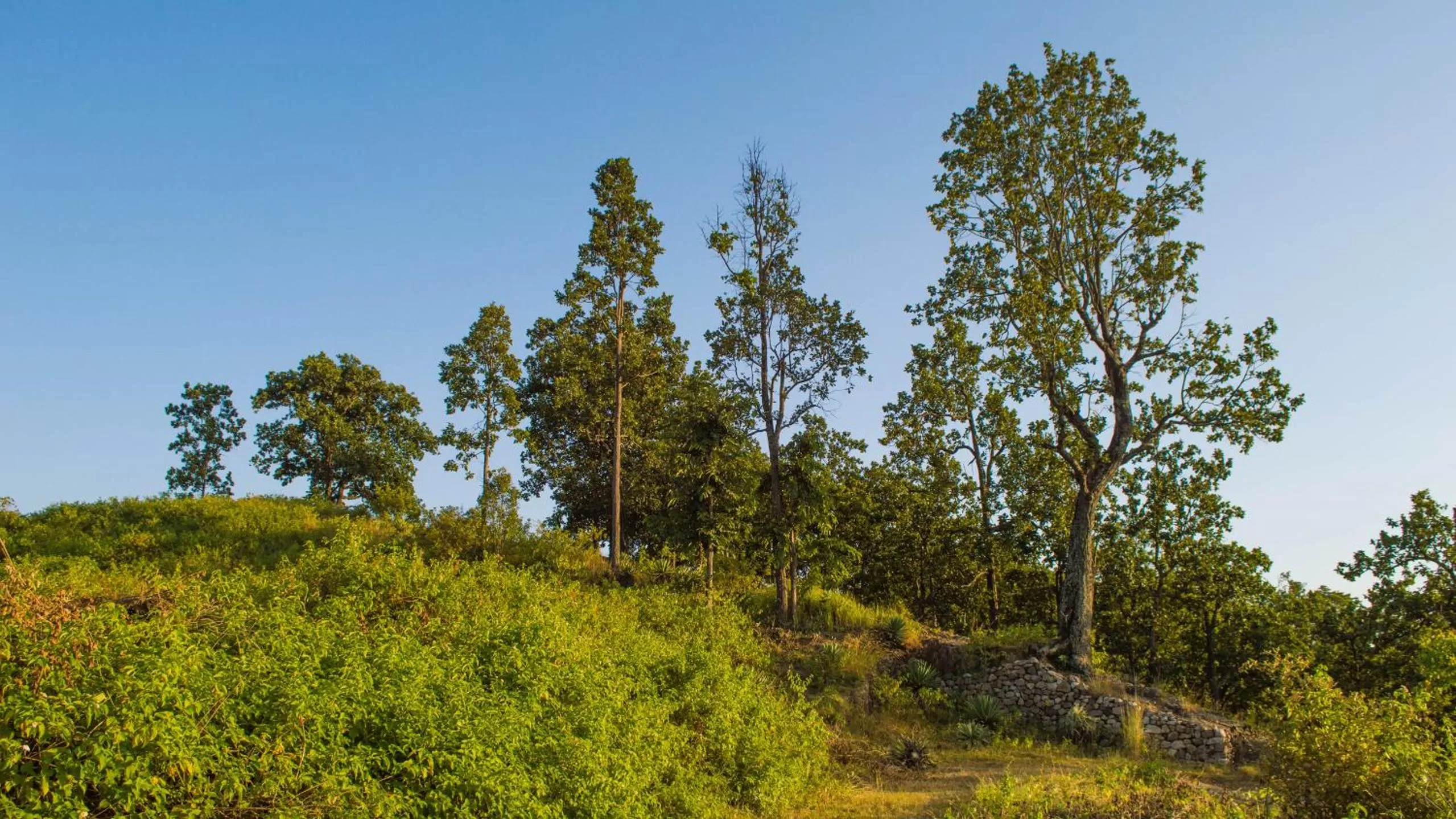 Spring in LaHermitage Resort