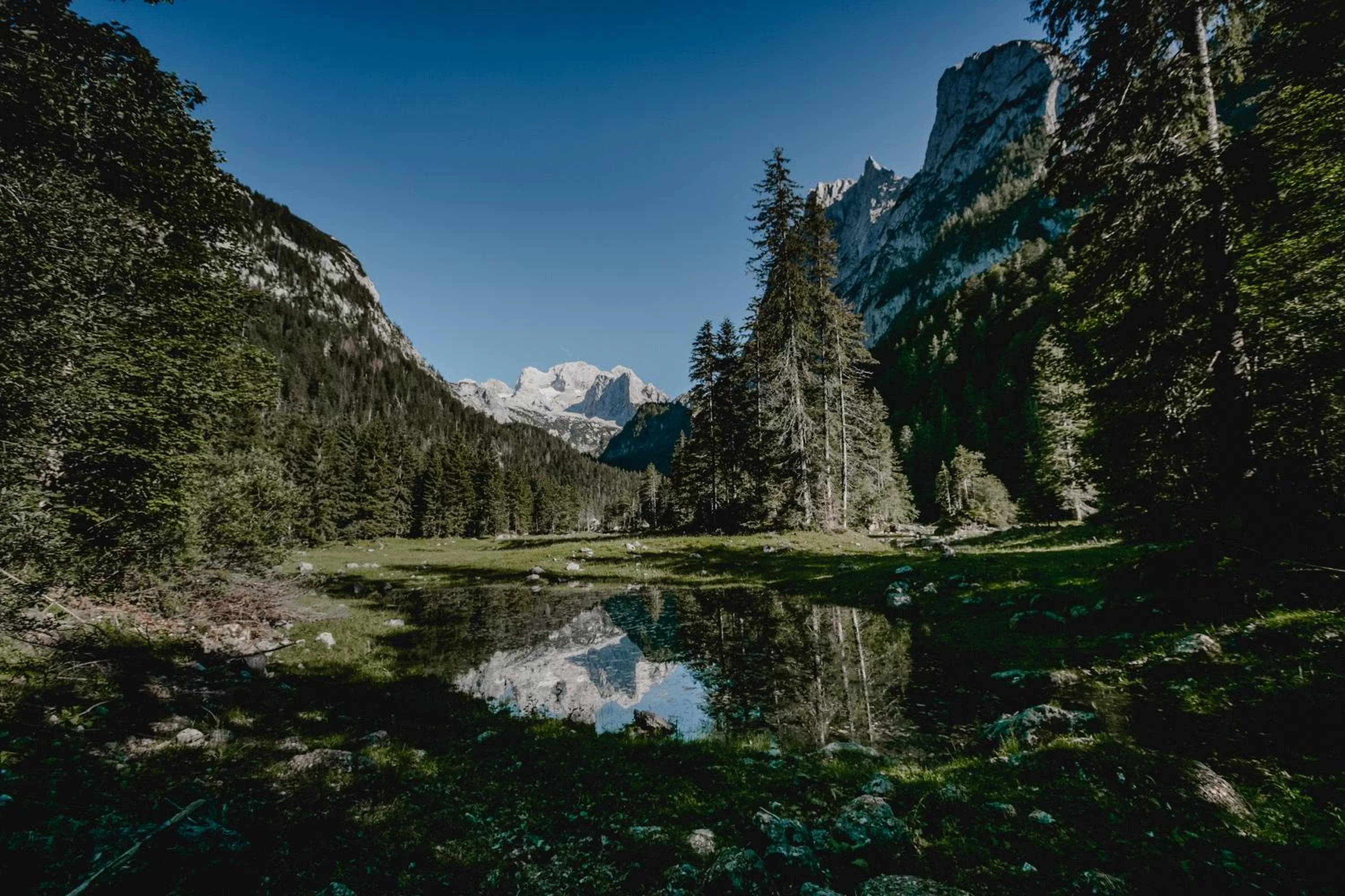 Hiking in Hotel Sommerhof