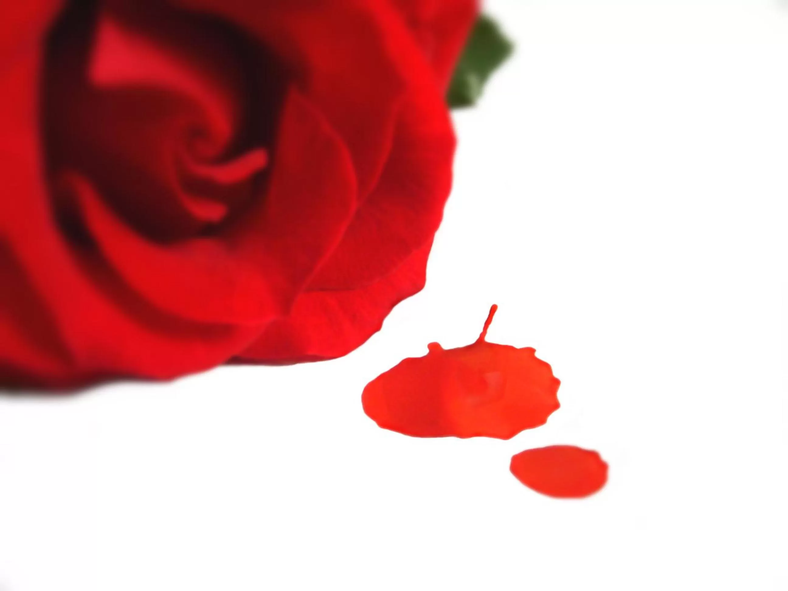 Other in Argyll Hotel