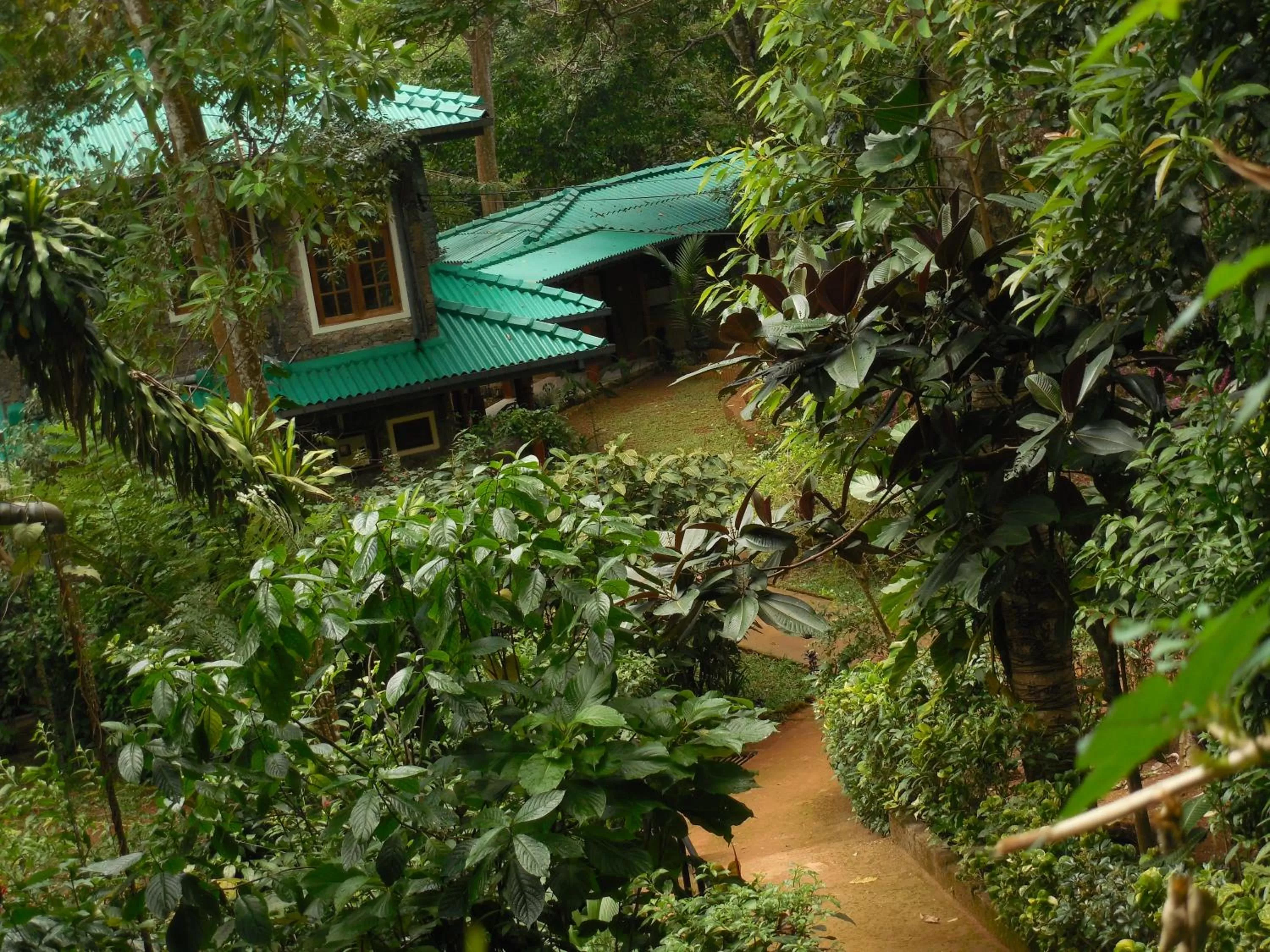 Garden view, Garden in Le leopard d 'argent