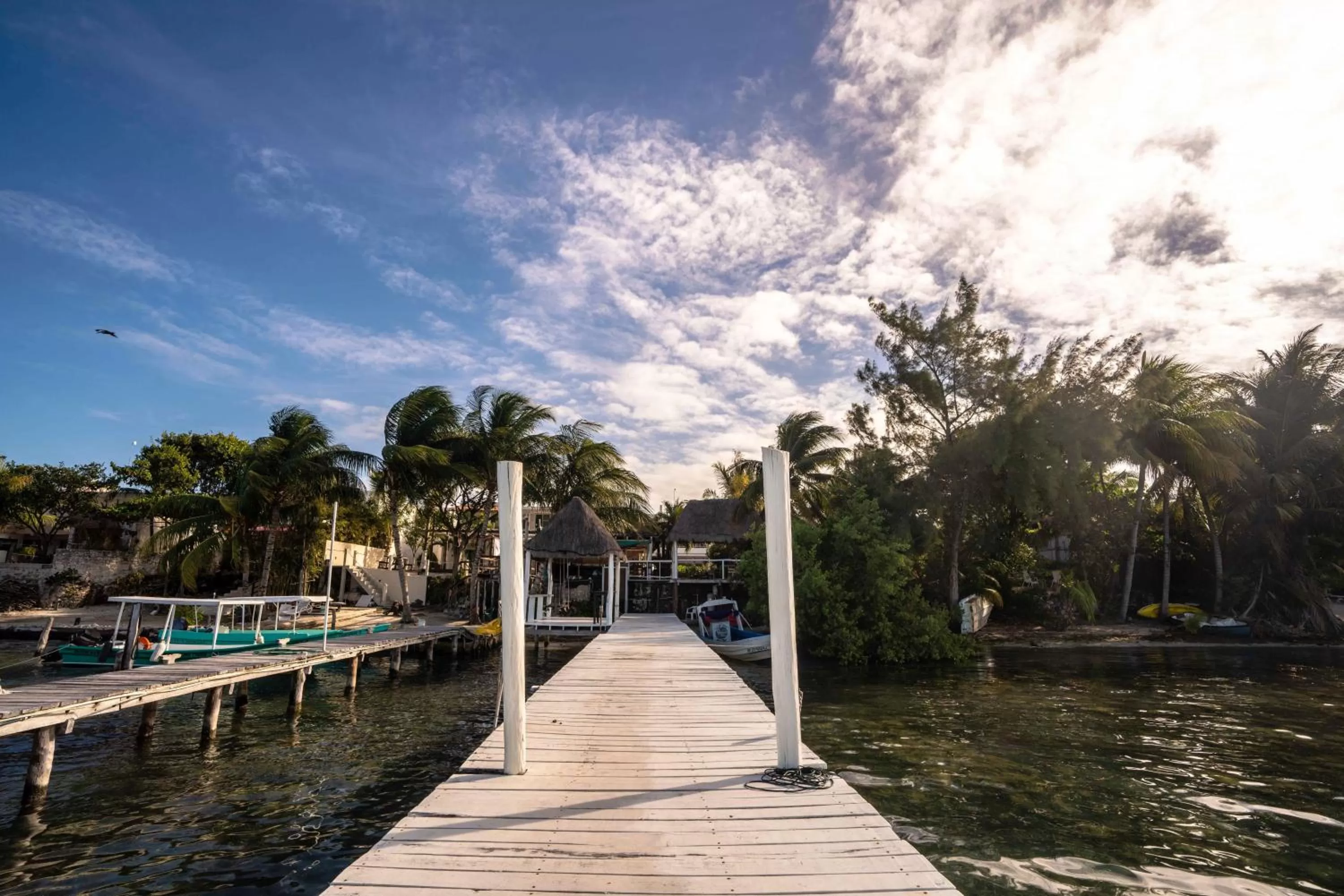 Area and facilities in Hotel Boutique Skulls Landing