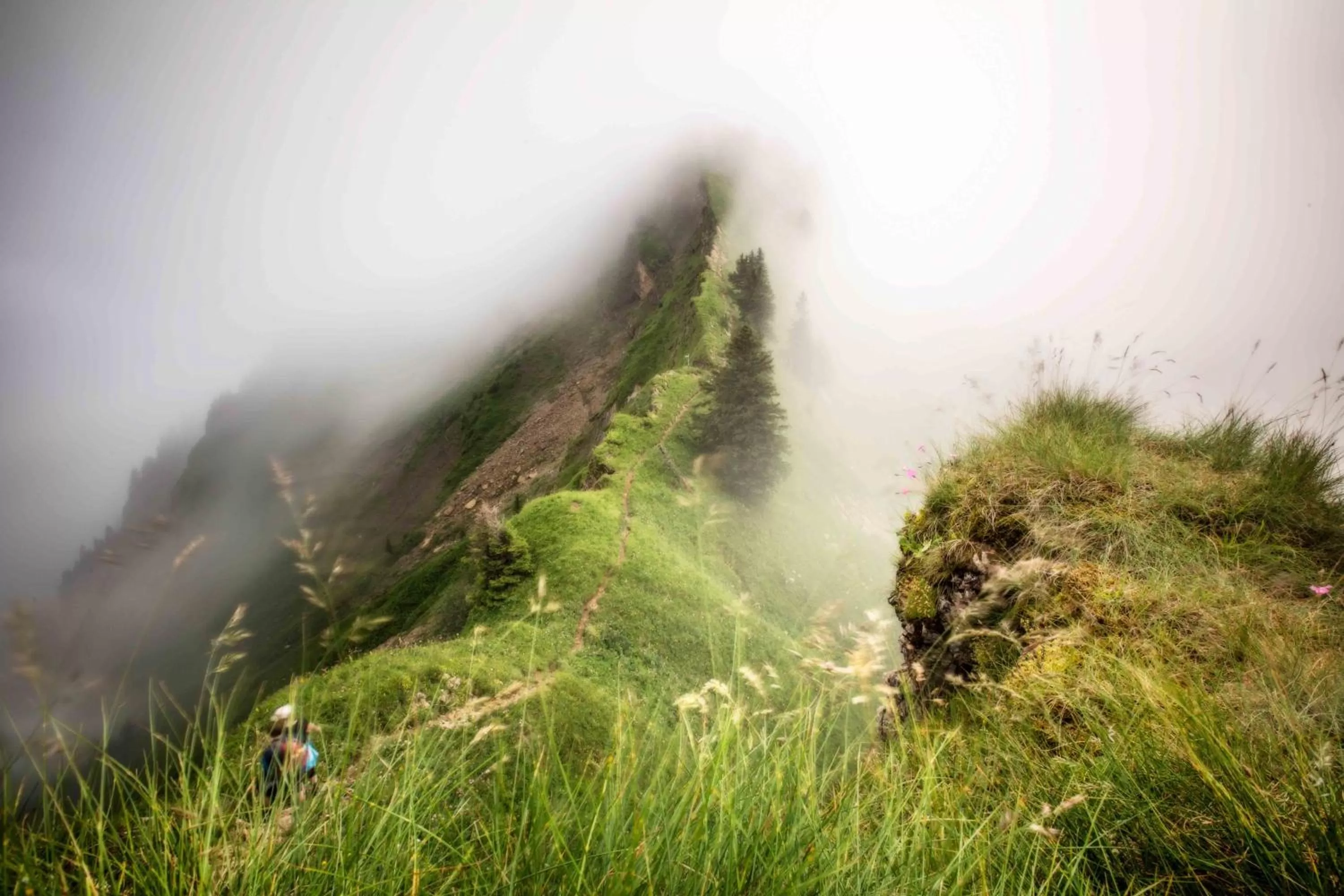 Natural landscape in St Hubertus BnB