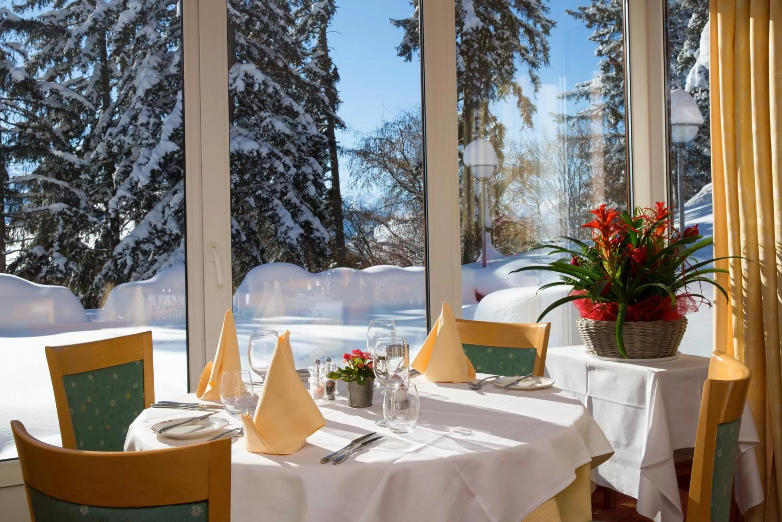 Restaurant/places to eat in Aparthotel Helvetia