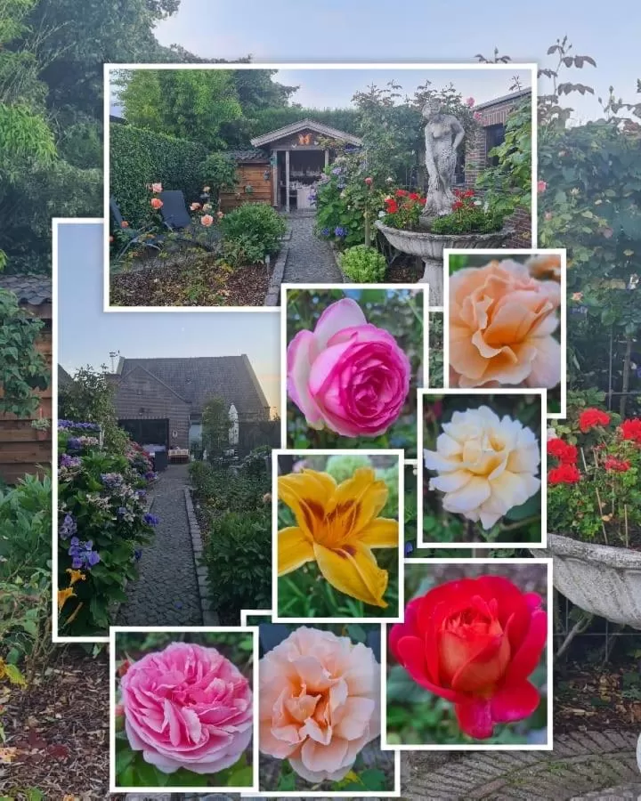 Property building in La Rose