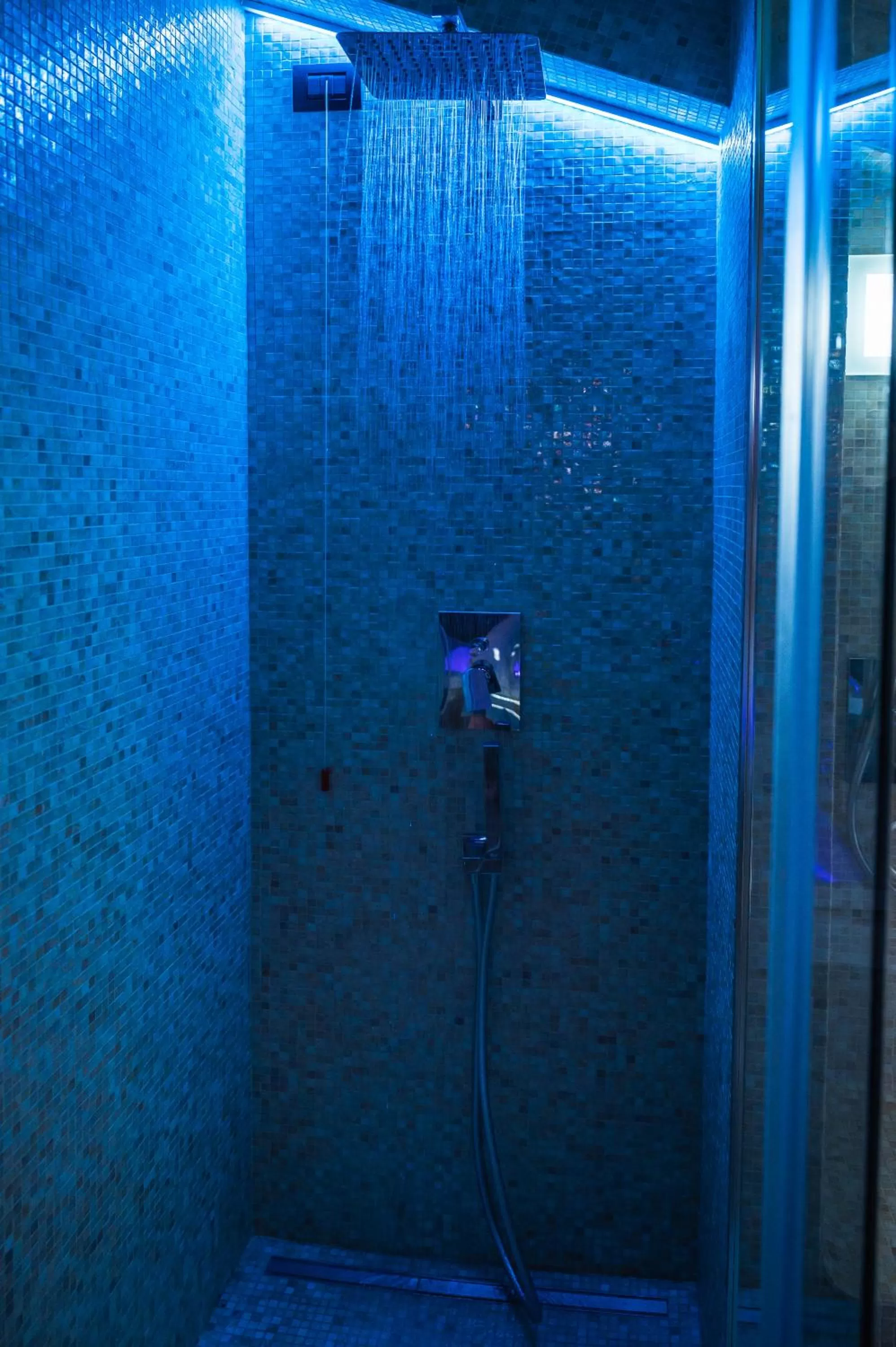 Steam room, Bathroom in ViaNettuno