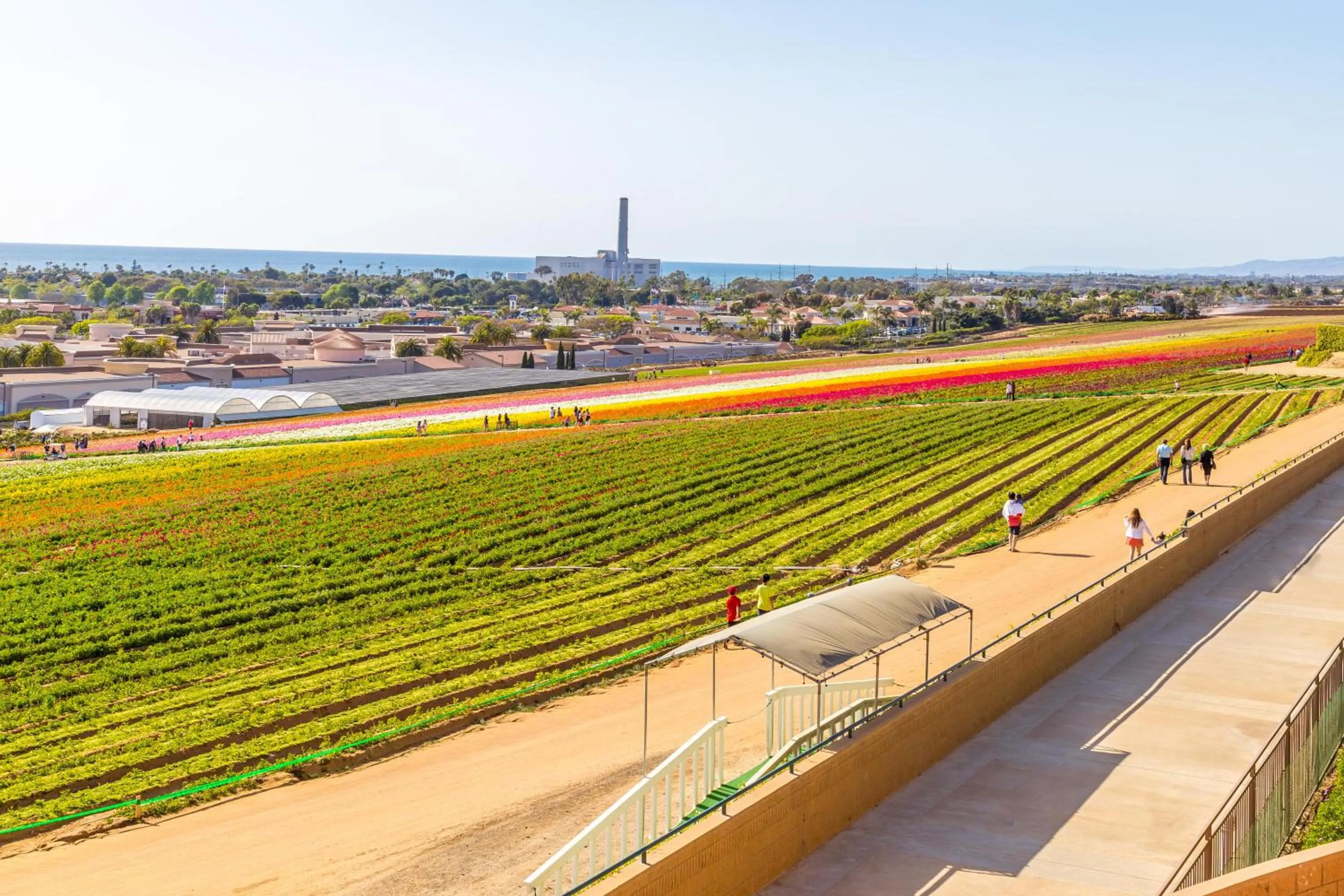 View (from property/room) in Grand Pacific Palisades Resort