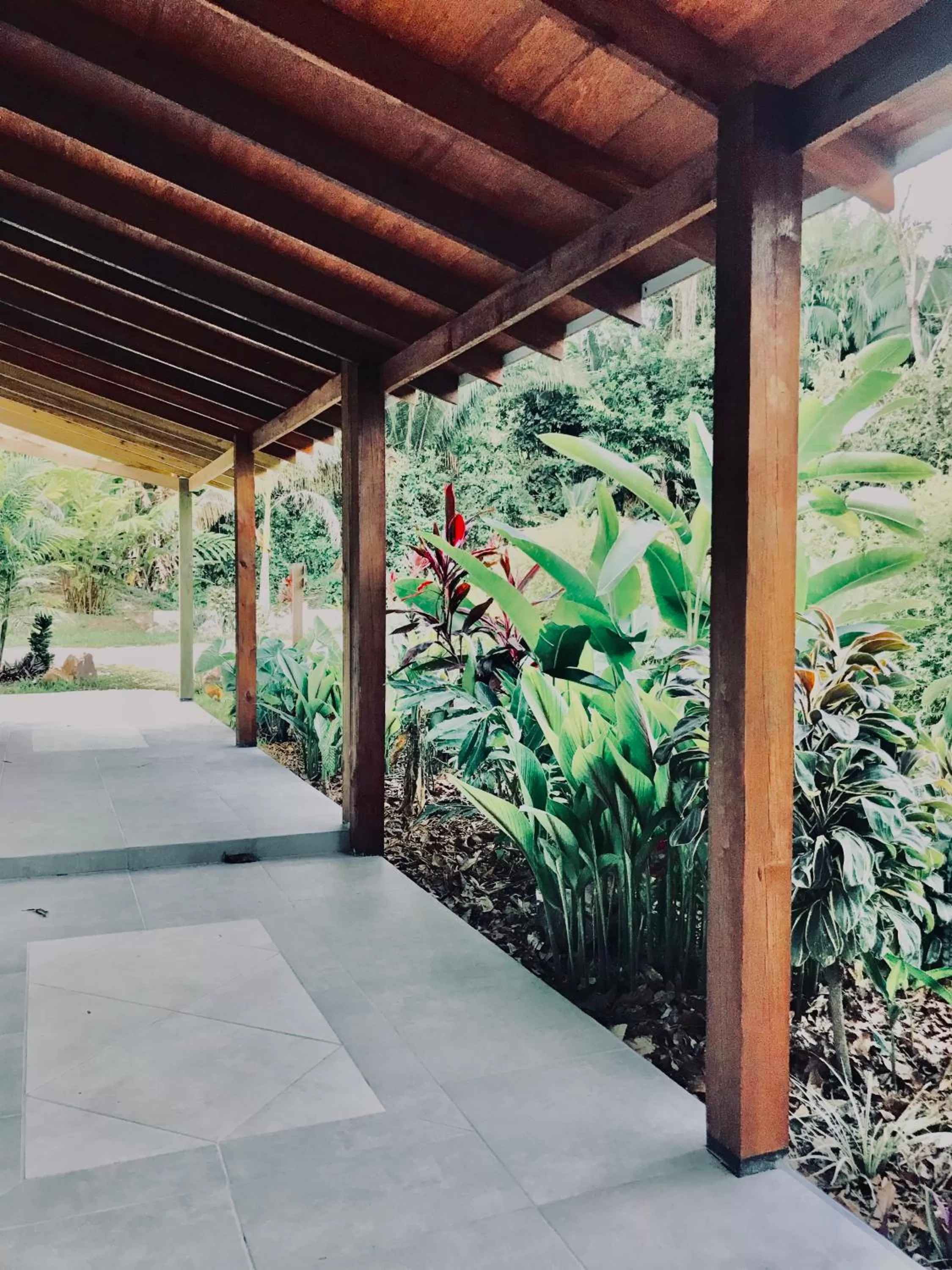 View (from property/room) in Sattva Land