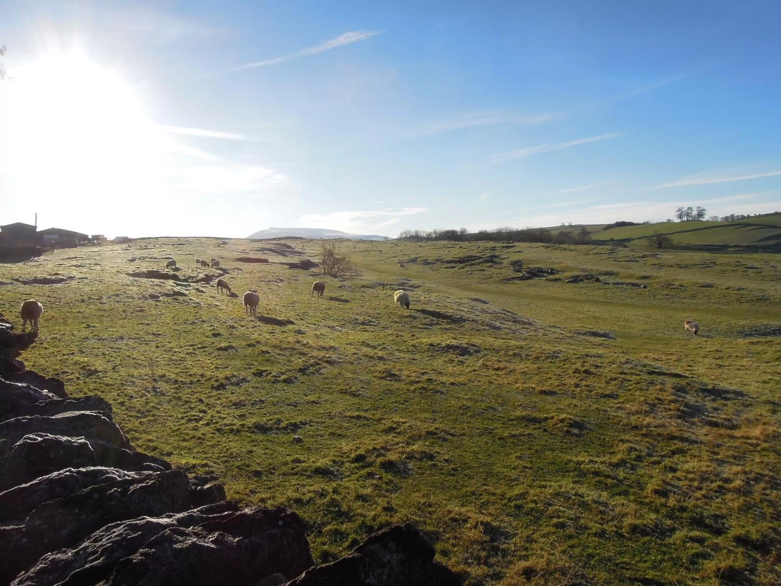 Natural landscape in The Black Bull at Nateby