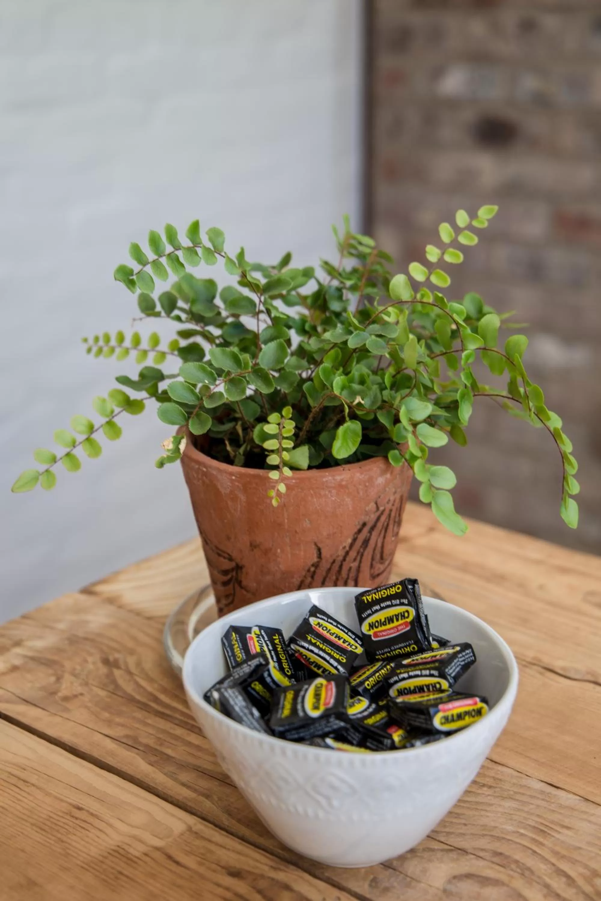 Decorative detail in Raw Karoo Guest House