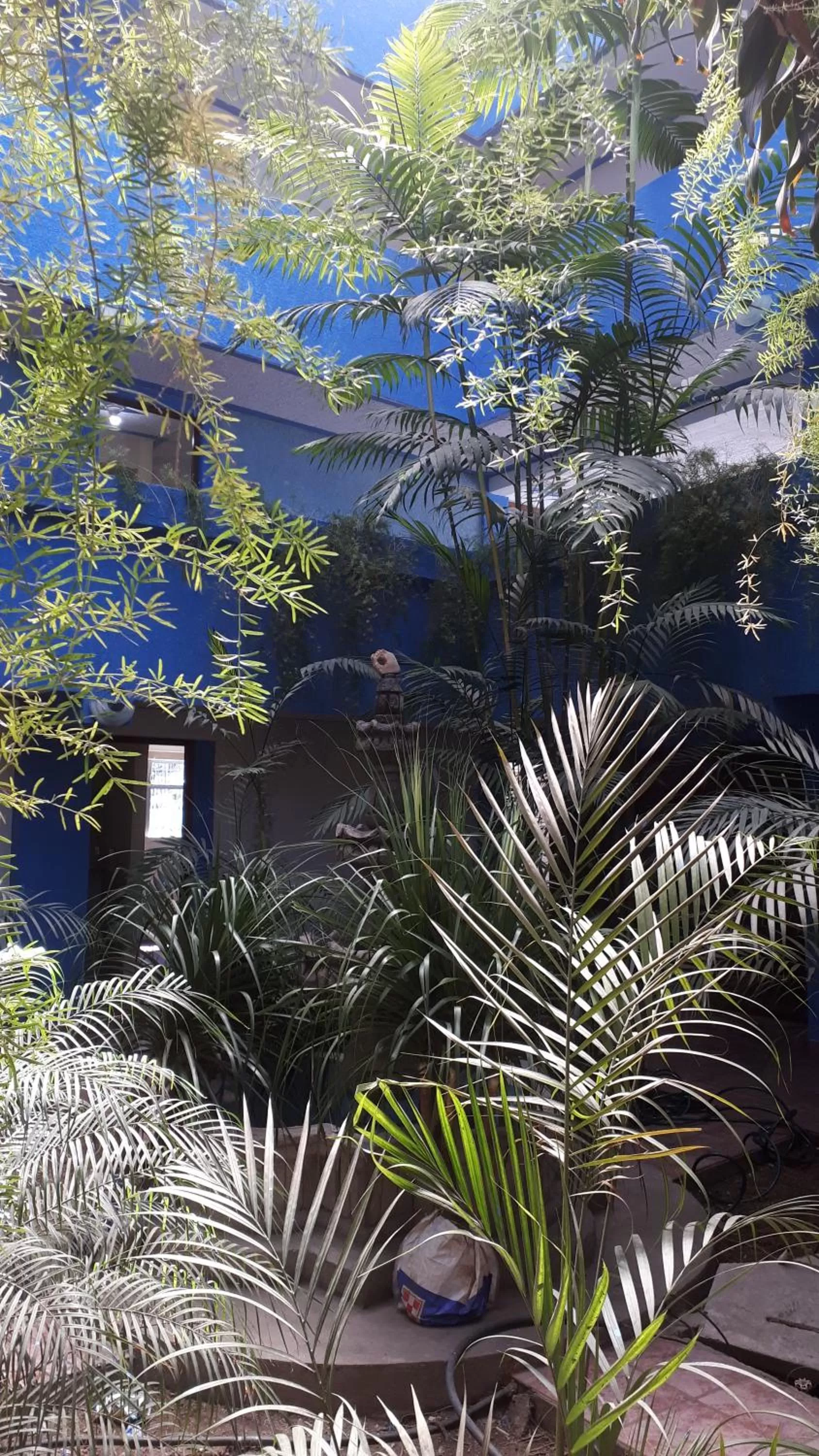 Garden in hotel kasa kamelot 2