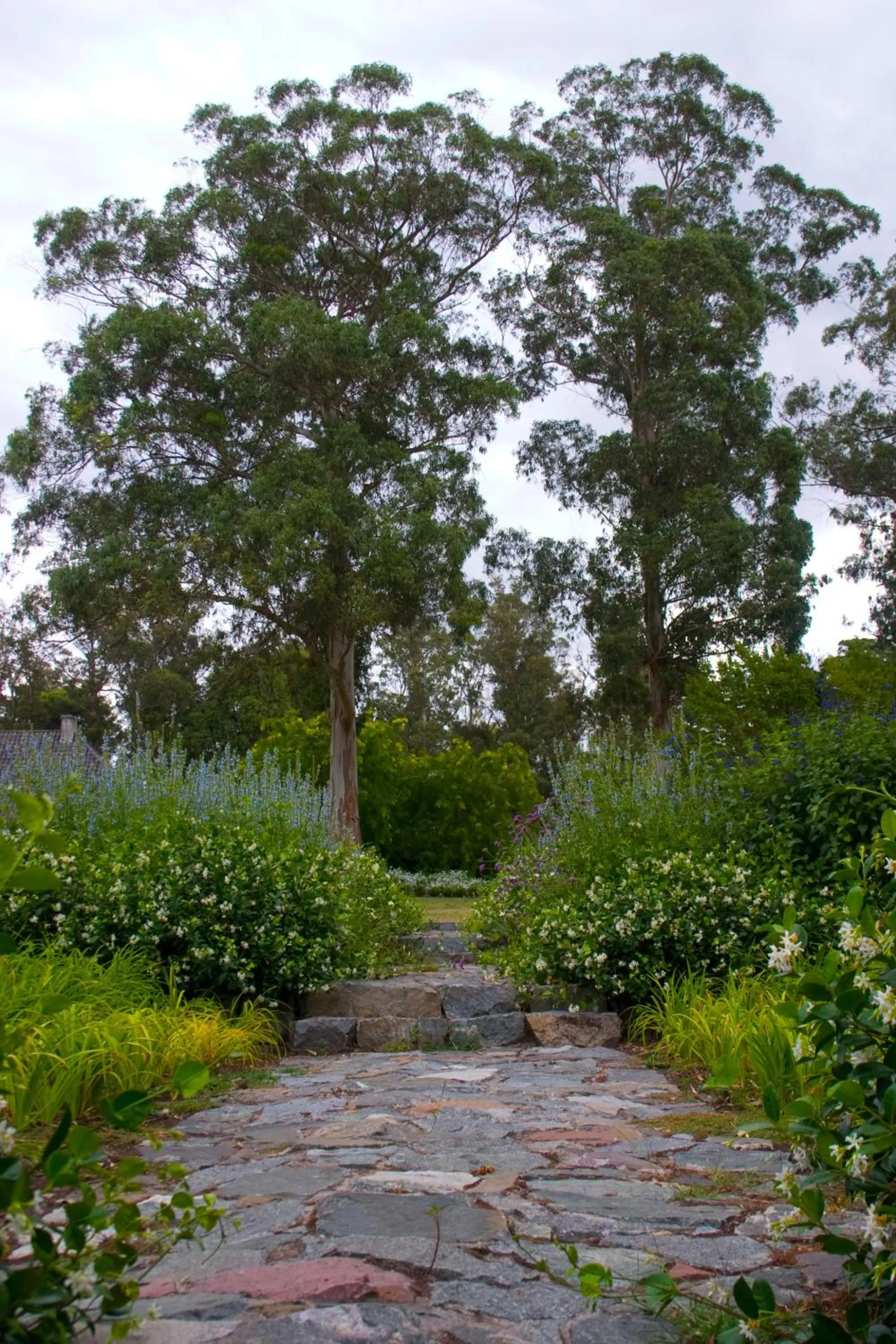 Garden in Estancia Ave María