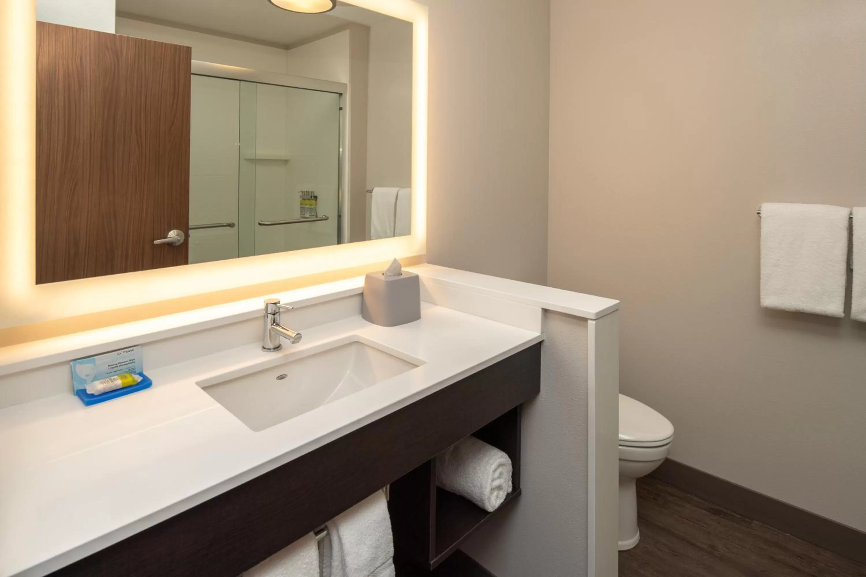 Bathroom in Holiday Inn Express & Suites - Camas by IHG