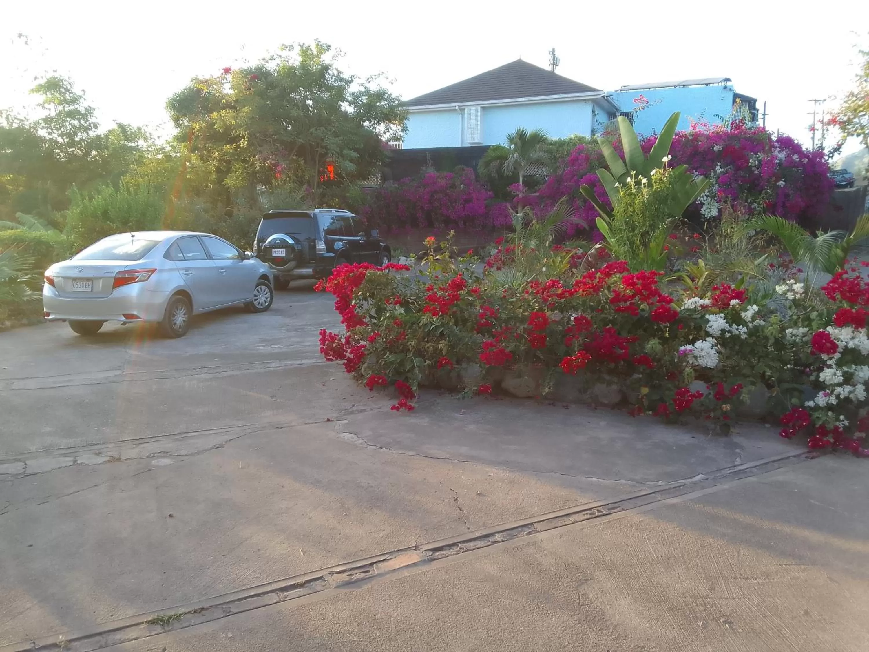 Parking in Tranquility Estate