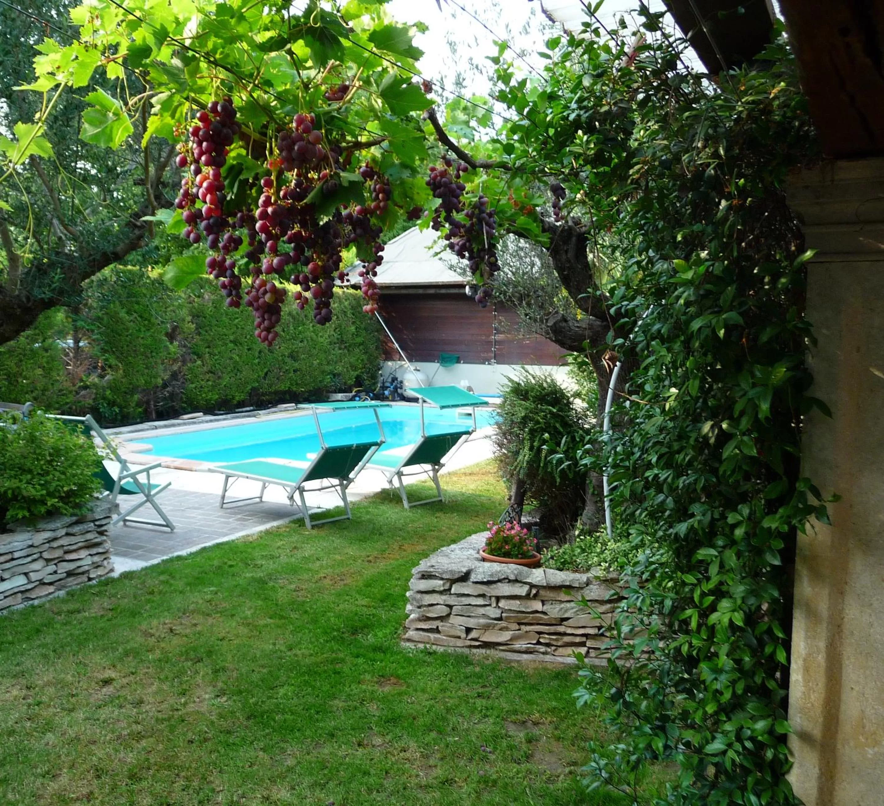 Swimming pool in Casa Stefy