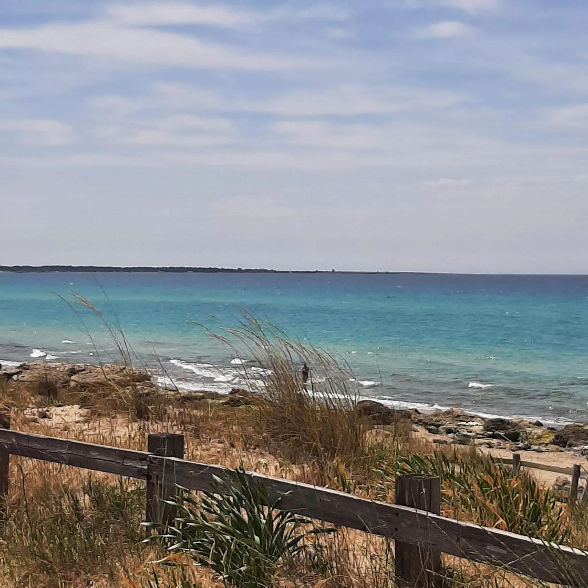 Other in Medusa Gallipoli