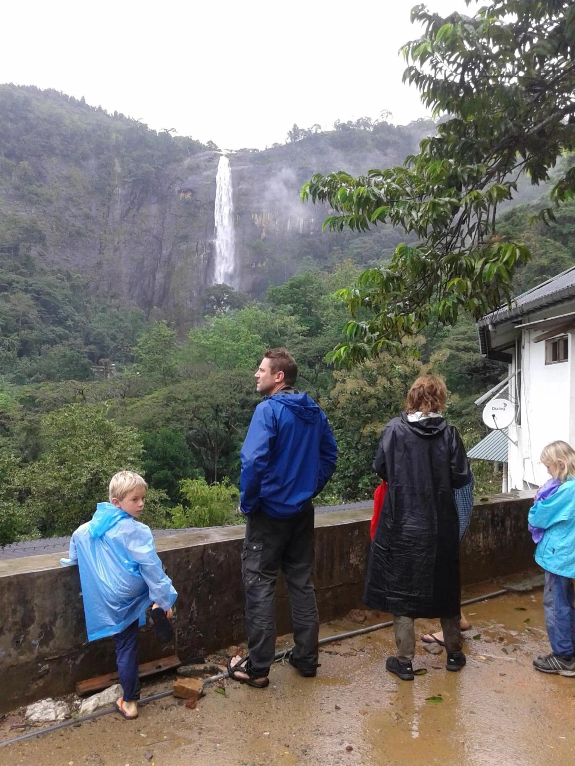 Day in The Blue View Ella