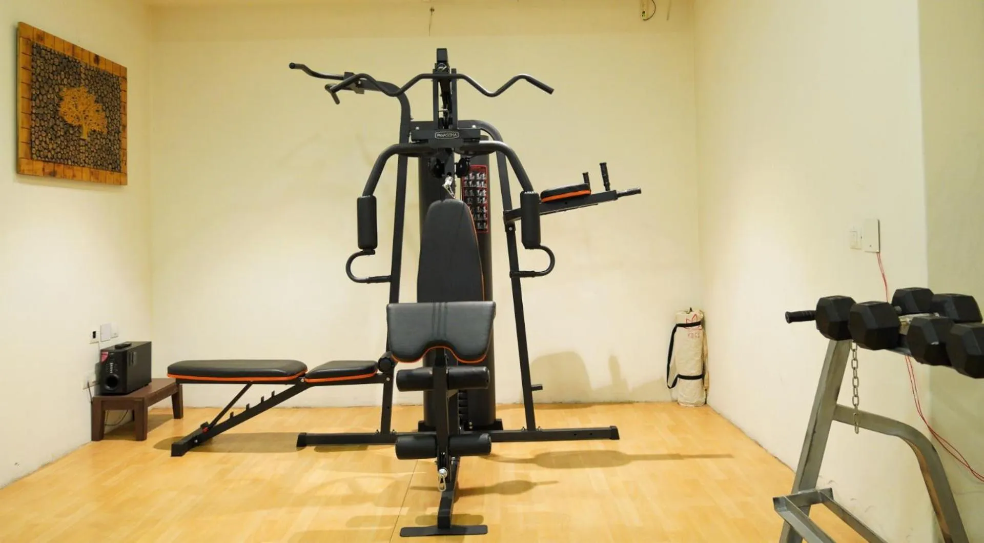 Fitness centre/facilities in Indraprastha Spa Resort