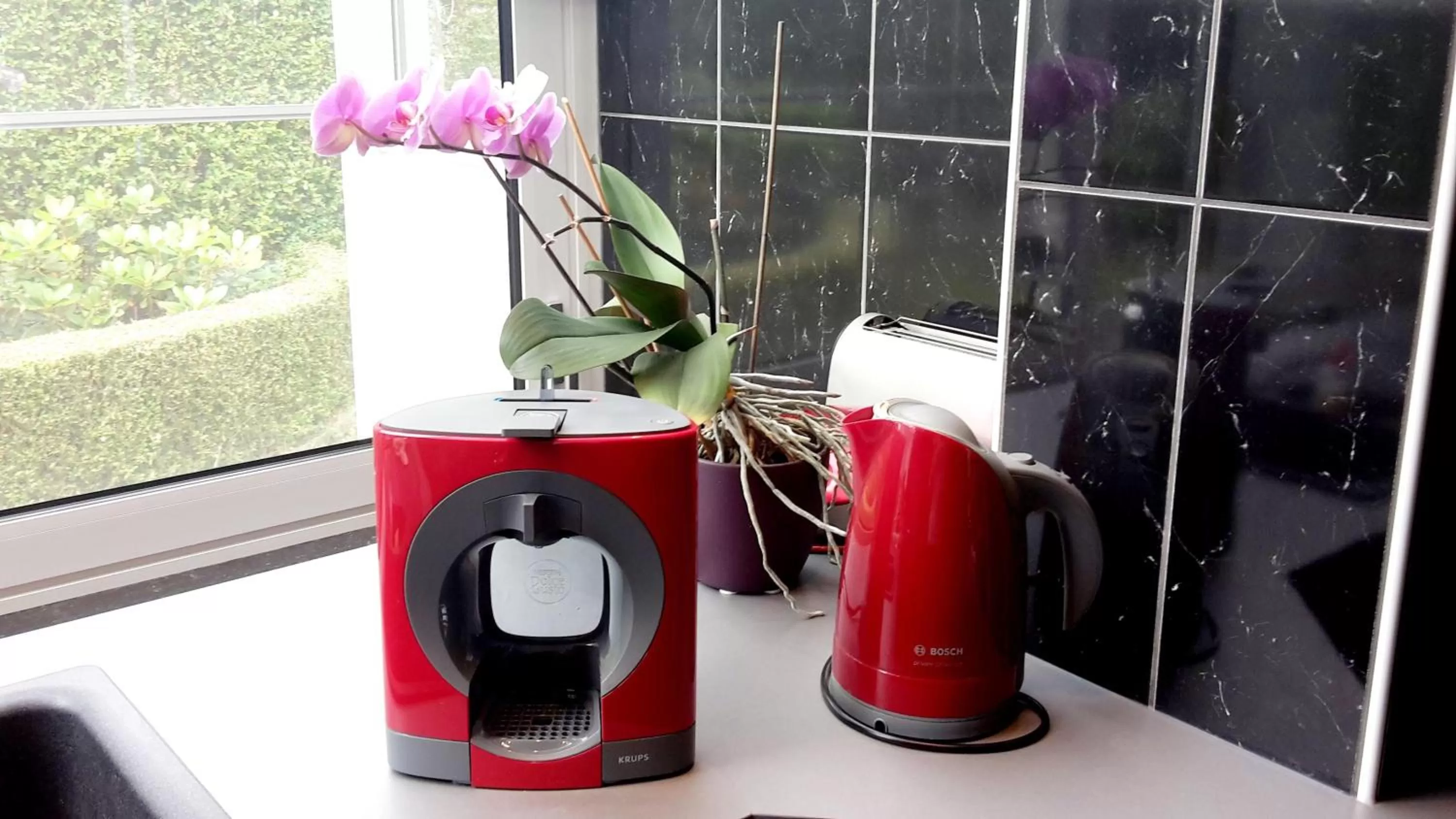 Communal kitchen in B&B prince d’Orange Waterloo