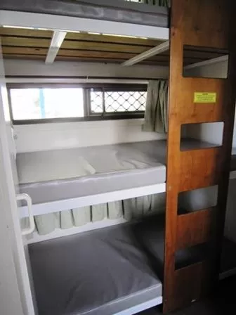 bunk bed, Bed in Woolgoolga Beach Holiday Park