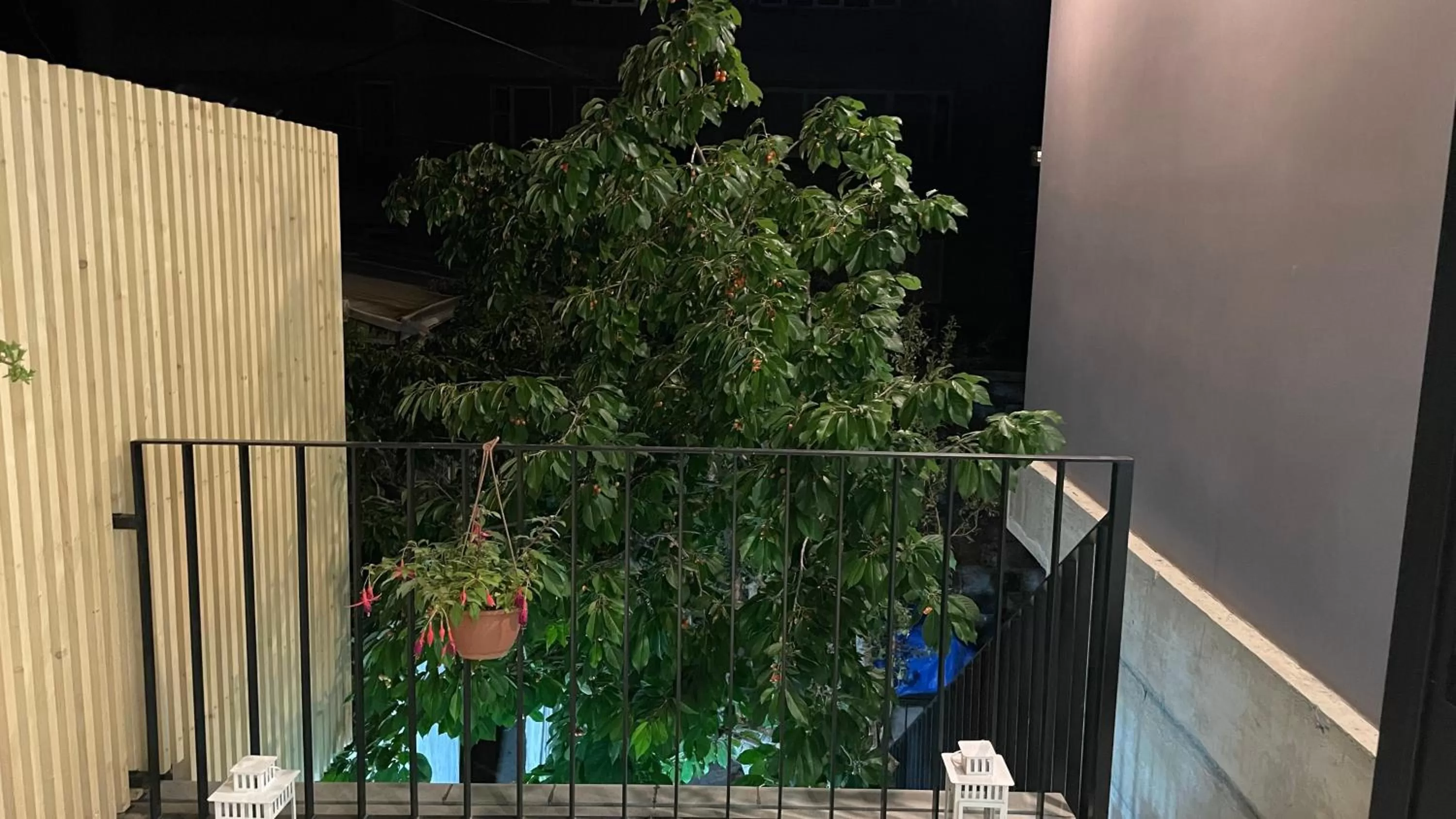 Balcony/Terrace in Armine's B&B