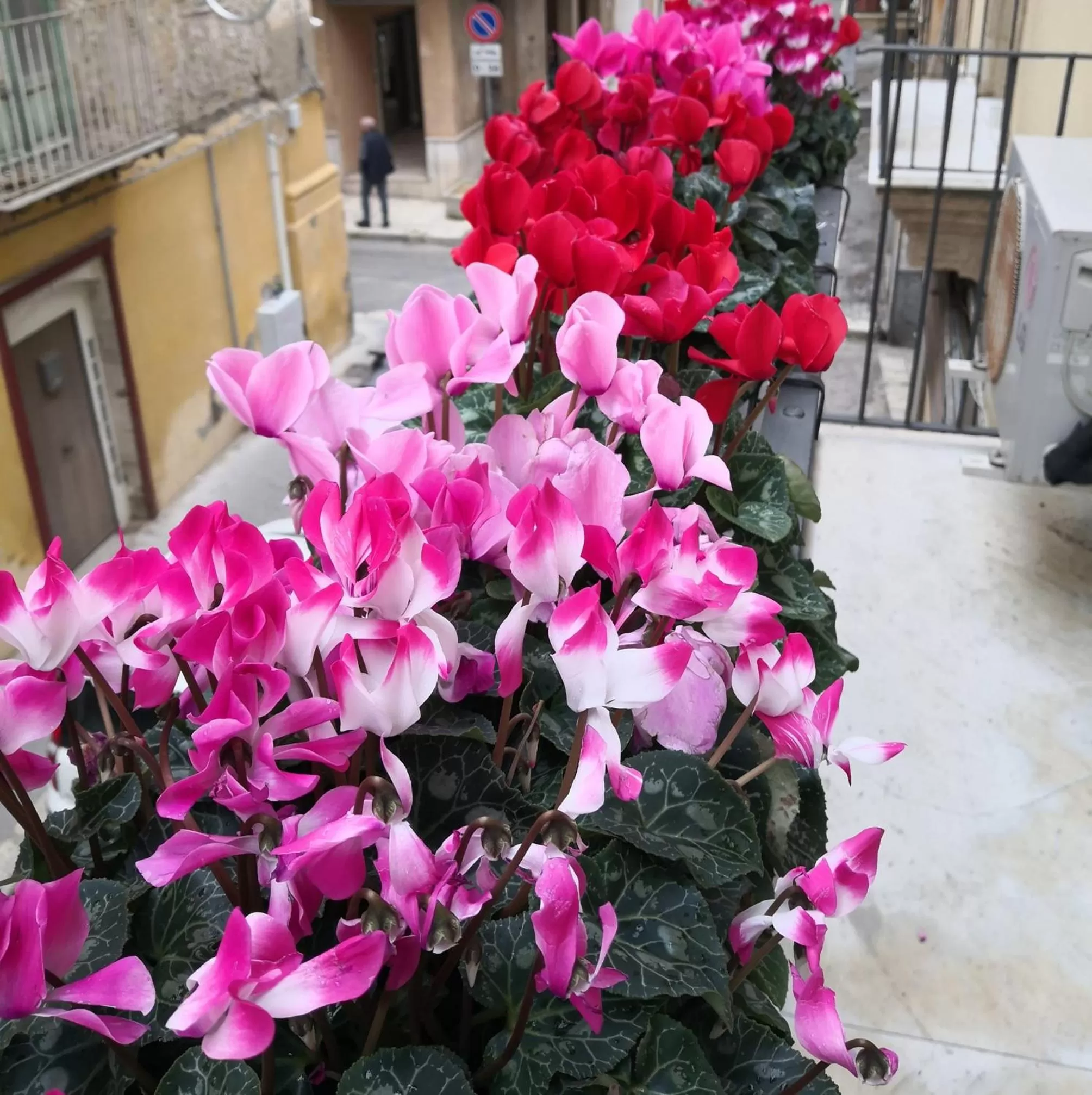 Facade/entrance in Palazzo Gioffrè