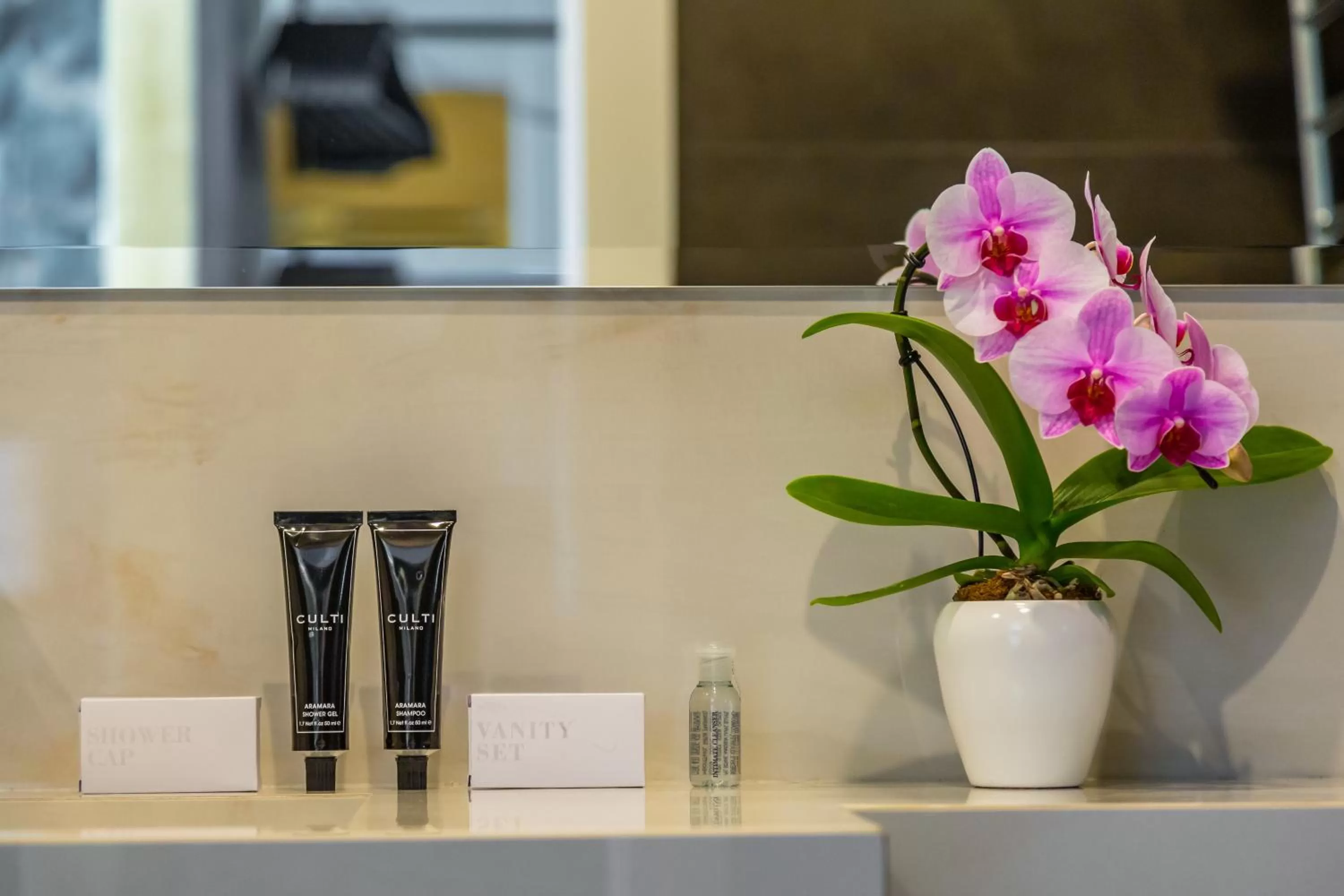 Bathroom in Dei Martiri Suite