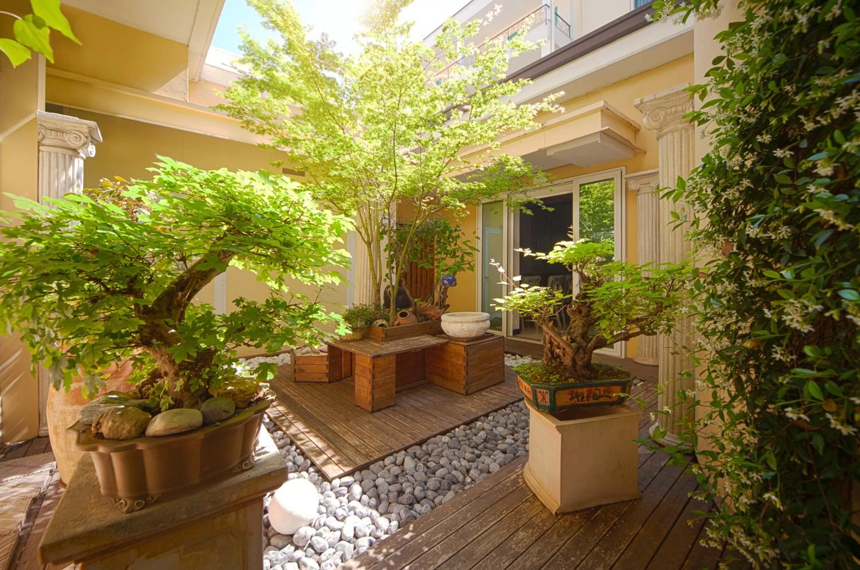 Garden in Hotel Terme Olympia