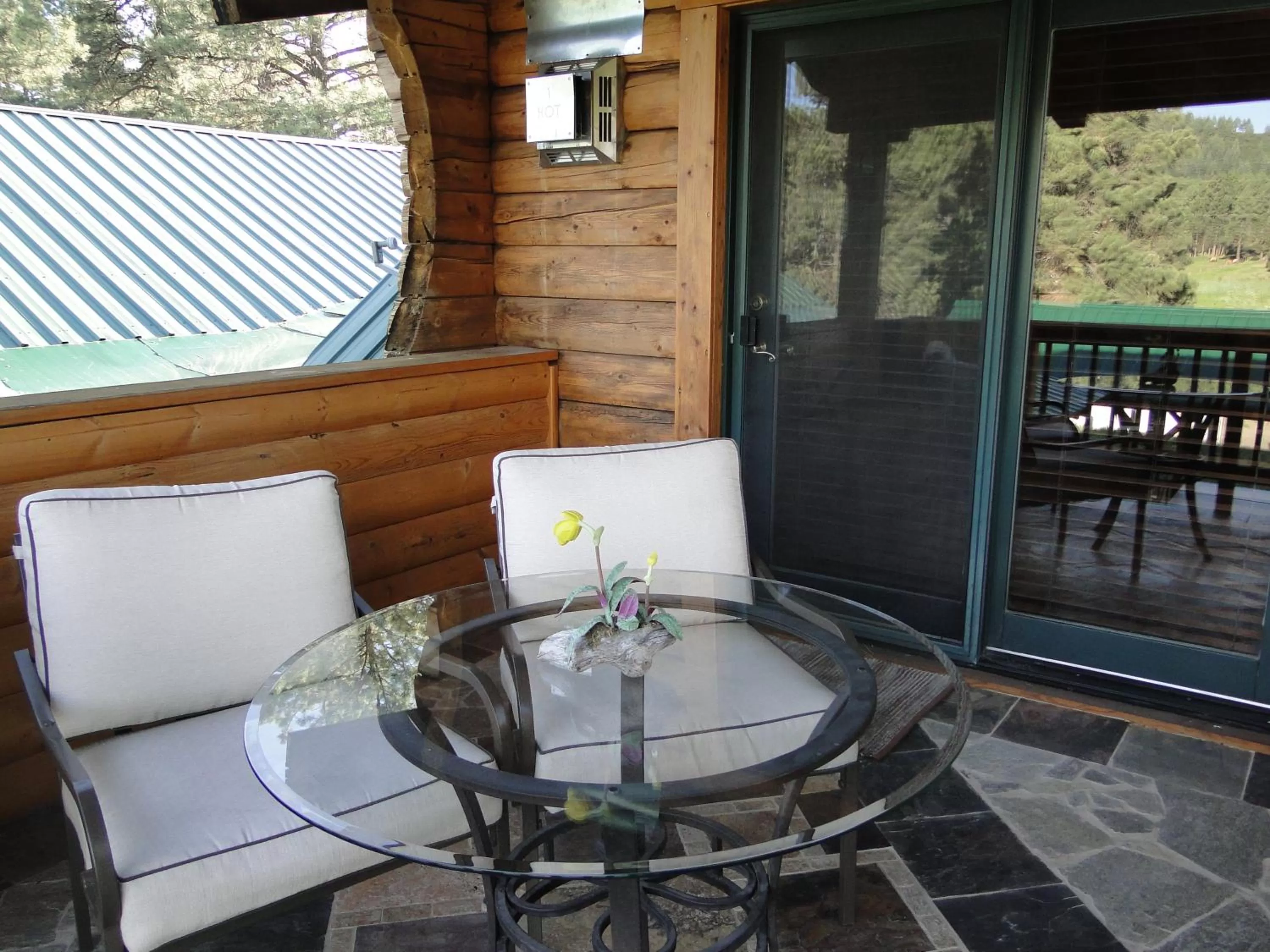 Balcony/Terrace in Elkwood Manor Bed & Breakfast