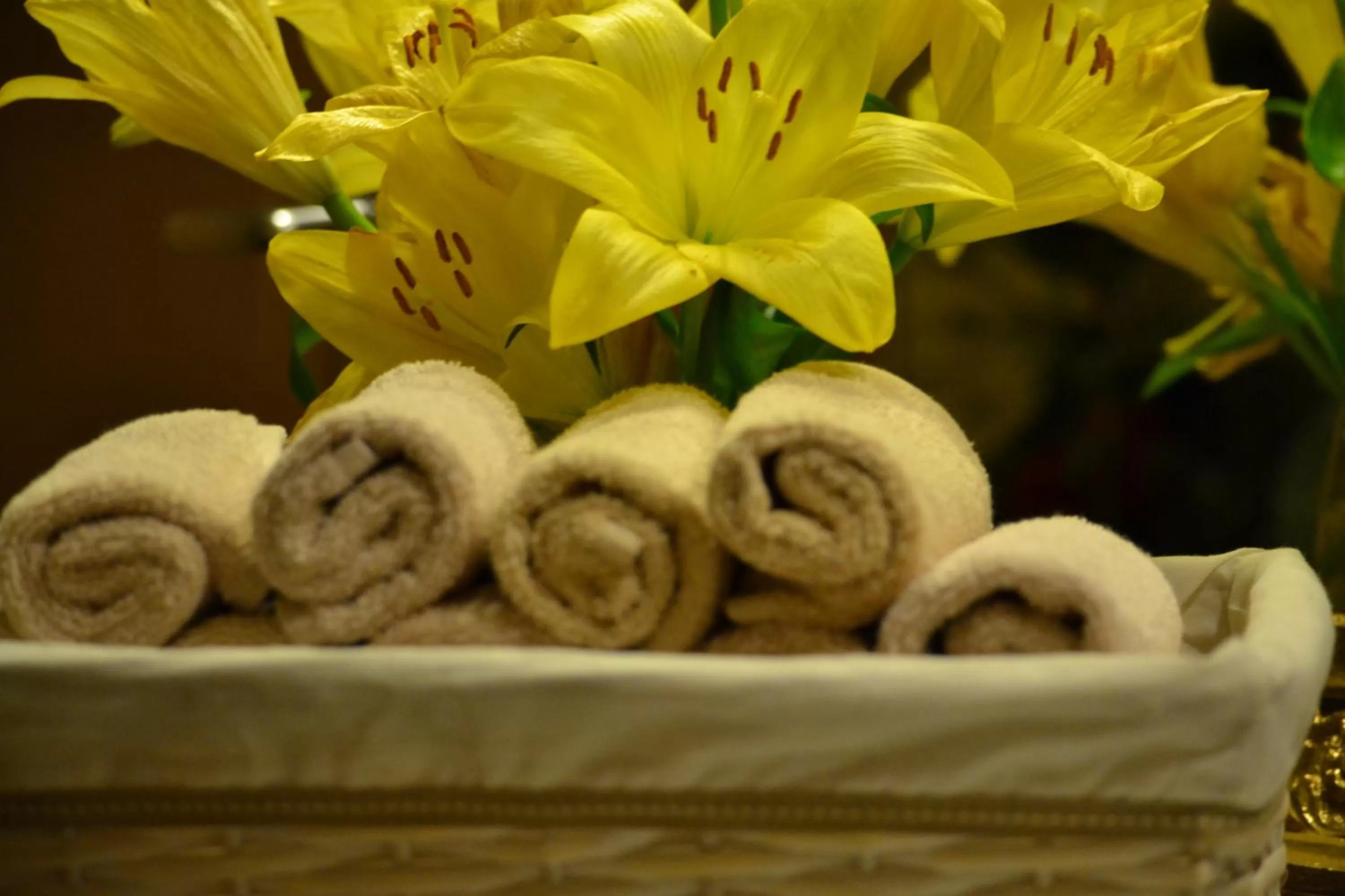 Toilet in Hotel Adriatica