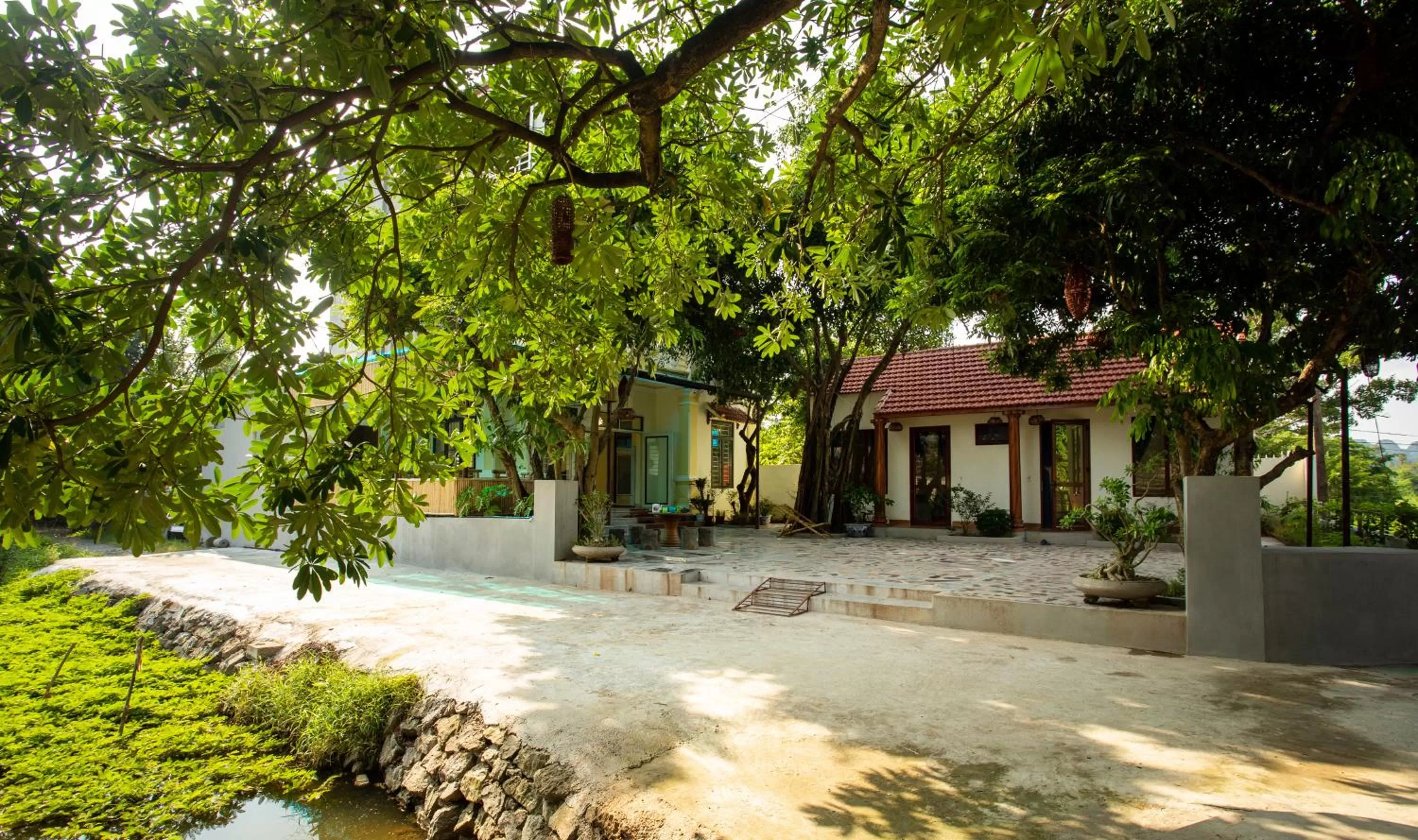 Hang Mua Central Homestay