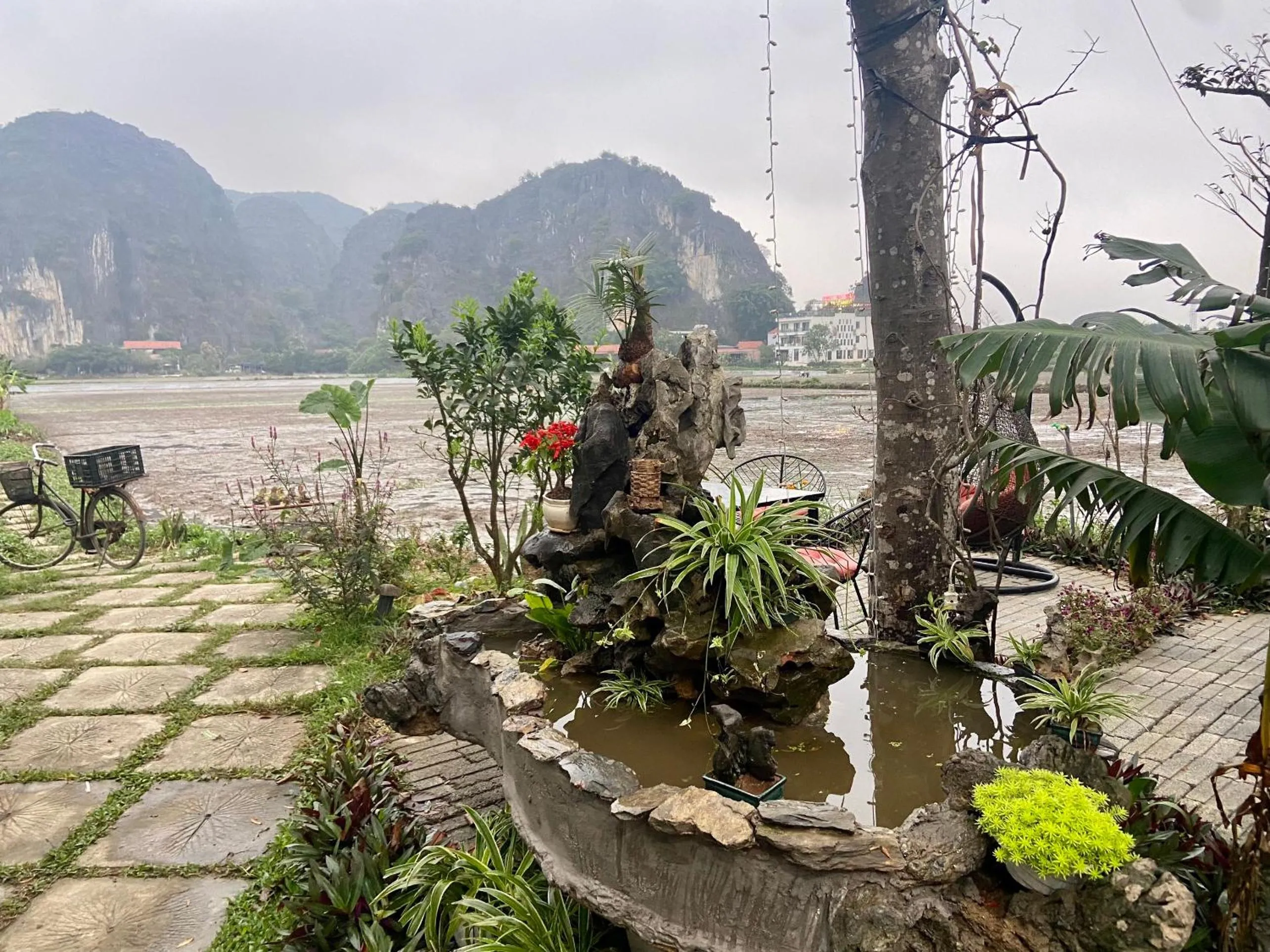Tam Coc Mountain View Homestay