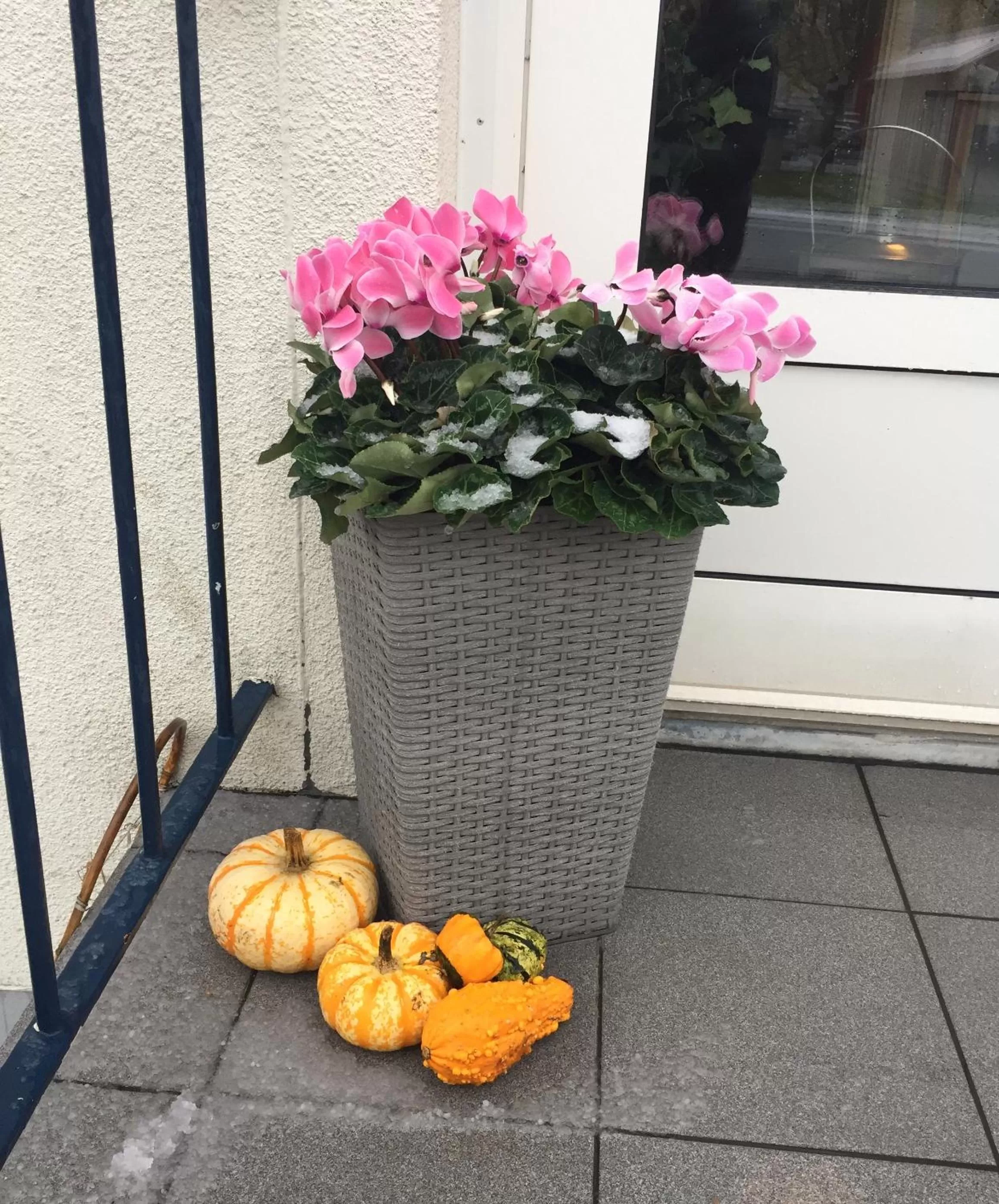 Autumn in Aurora Bed & Breakfast