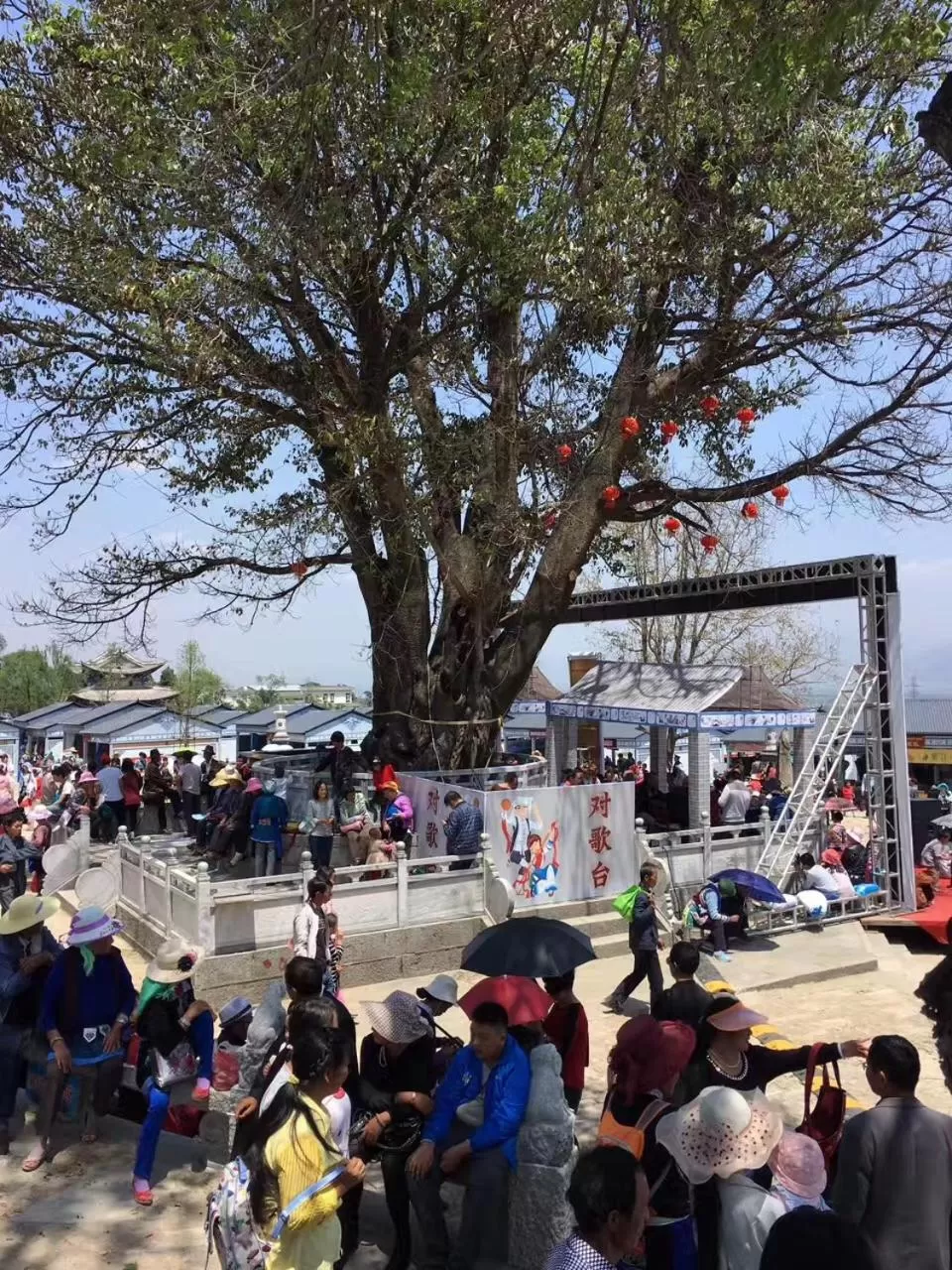 Location in The Lily Pad Inn