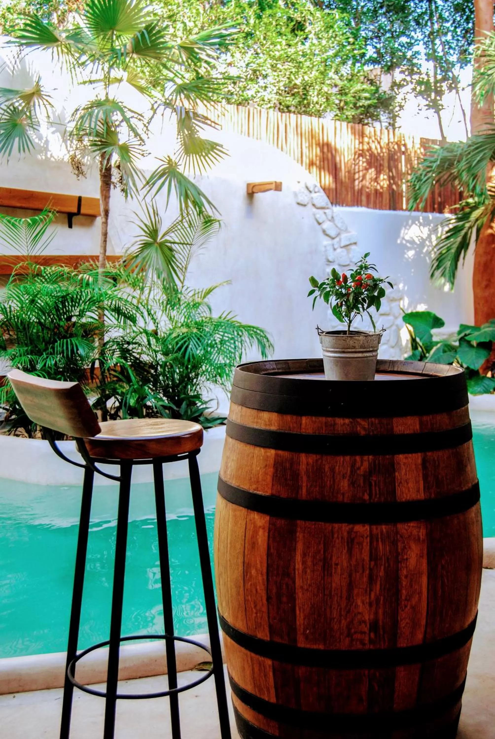 Patio in Hotel Boutique TerraNova