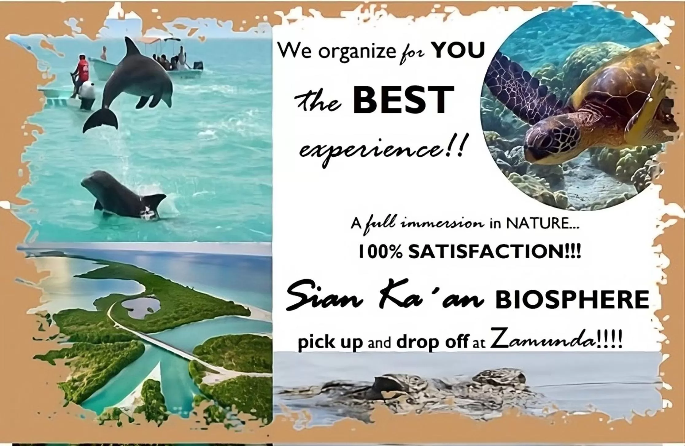 Animals in Zamunda Garden View