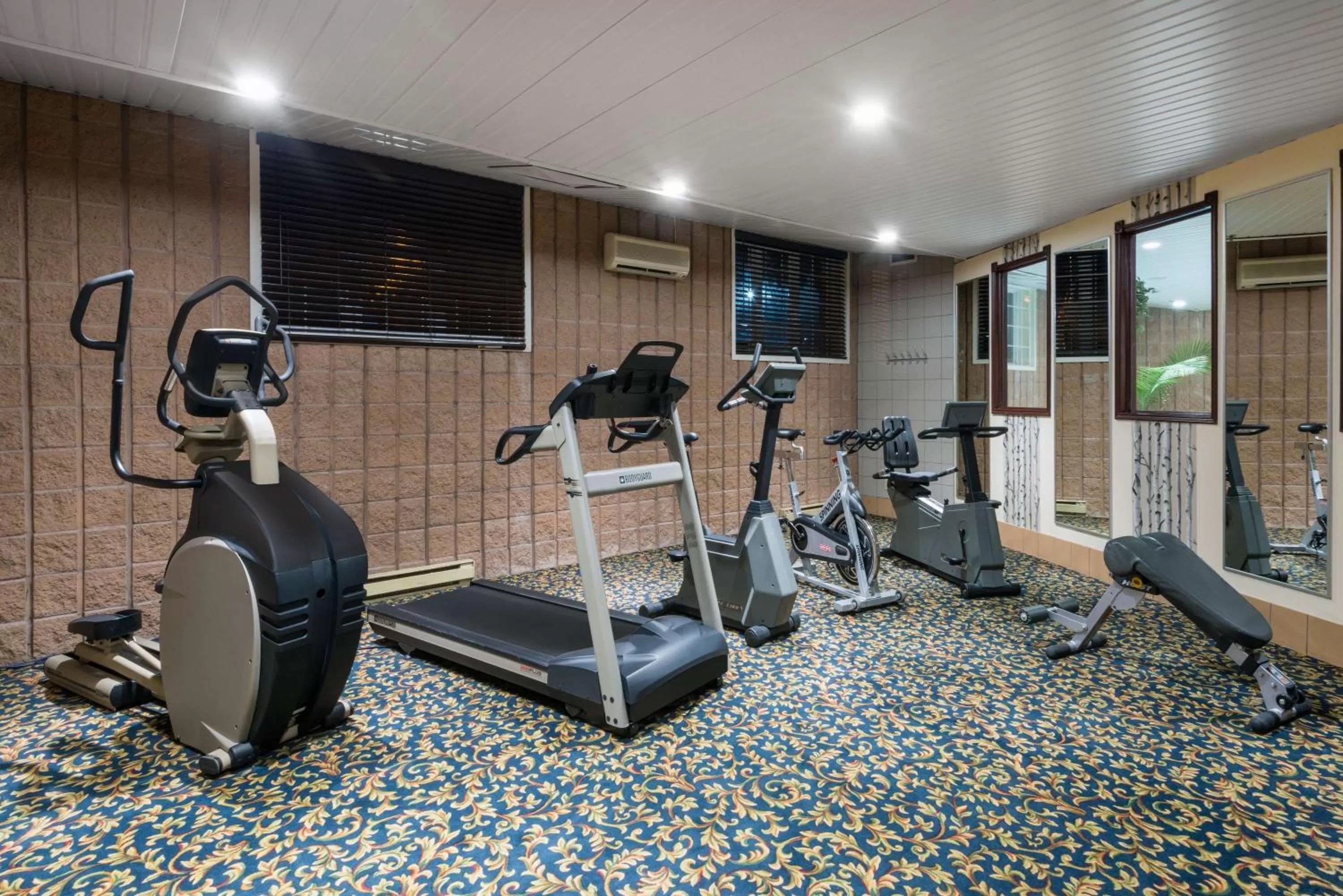 Fitness centre/facilities in Ramada Plaza by Wyndham Gatineau/Manoir du Casino