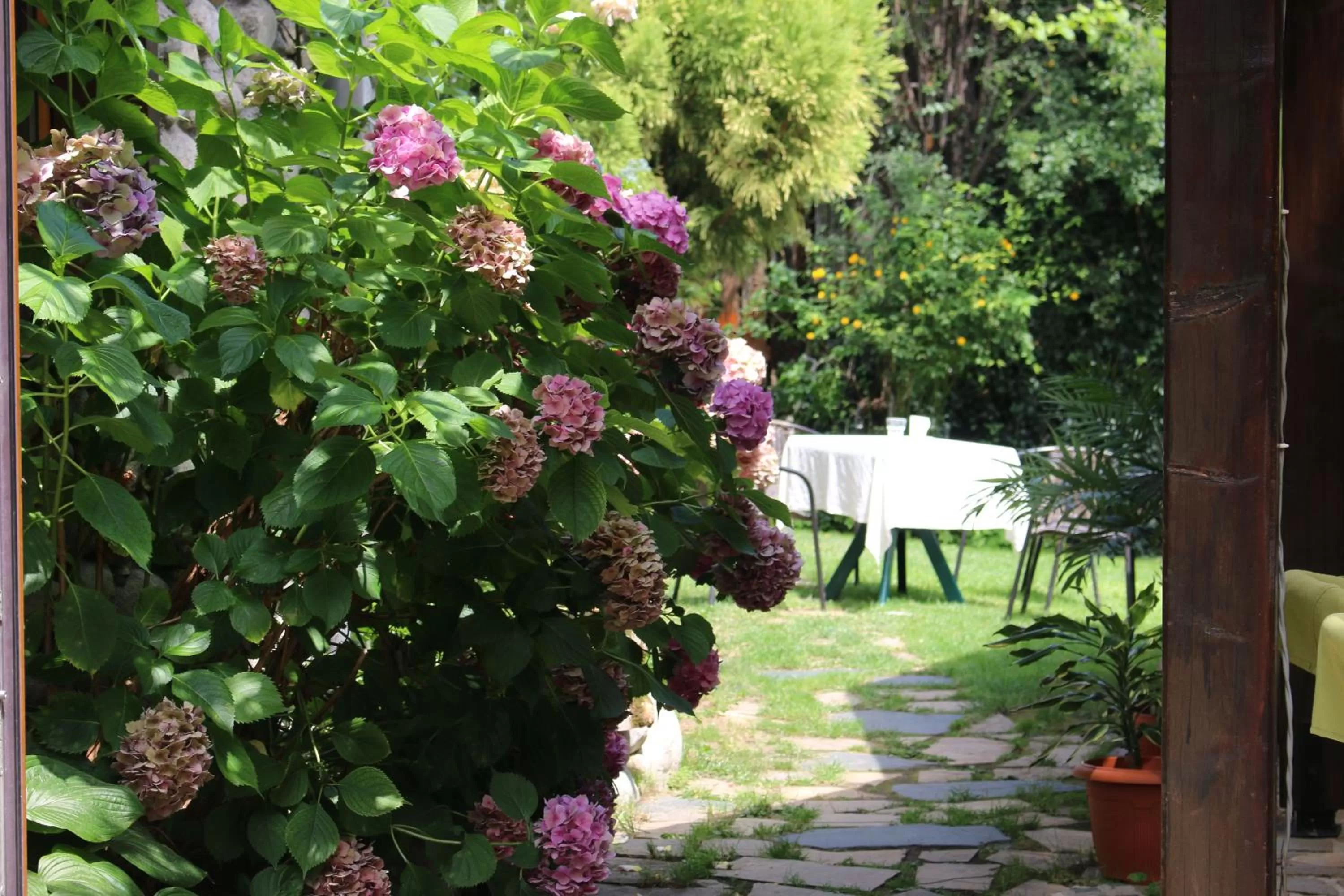 BBQ facilities in Kralev Dvor Hotel