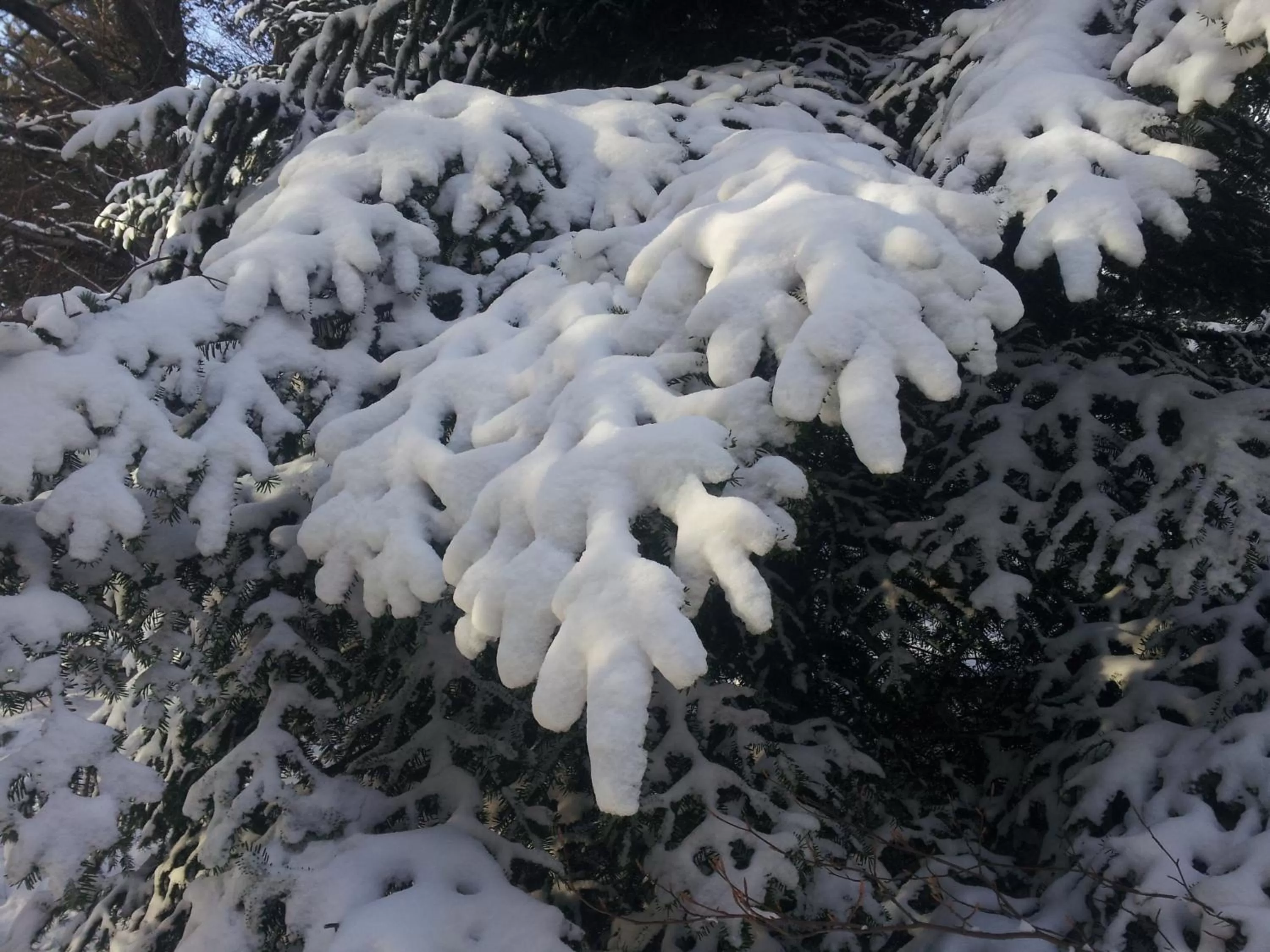 Winter in Chambres d'Hôtes Aux Tournesols