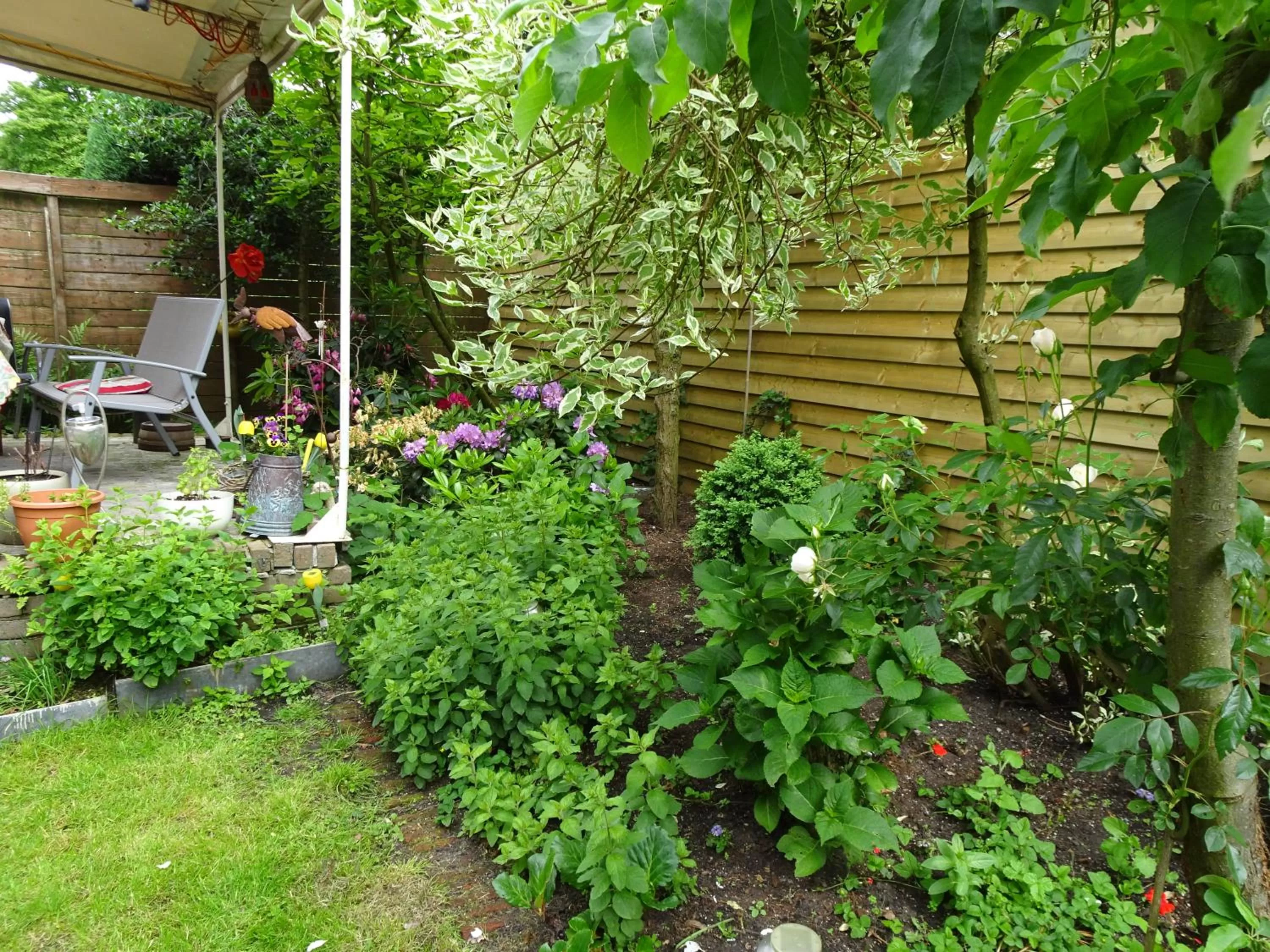 Patio in Xaviera's Bed and Breakfast