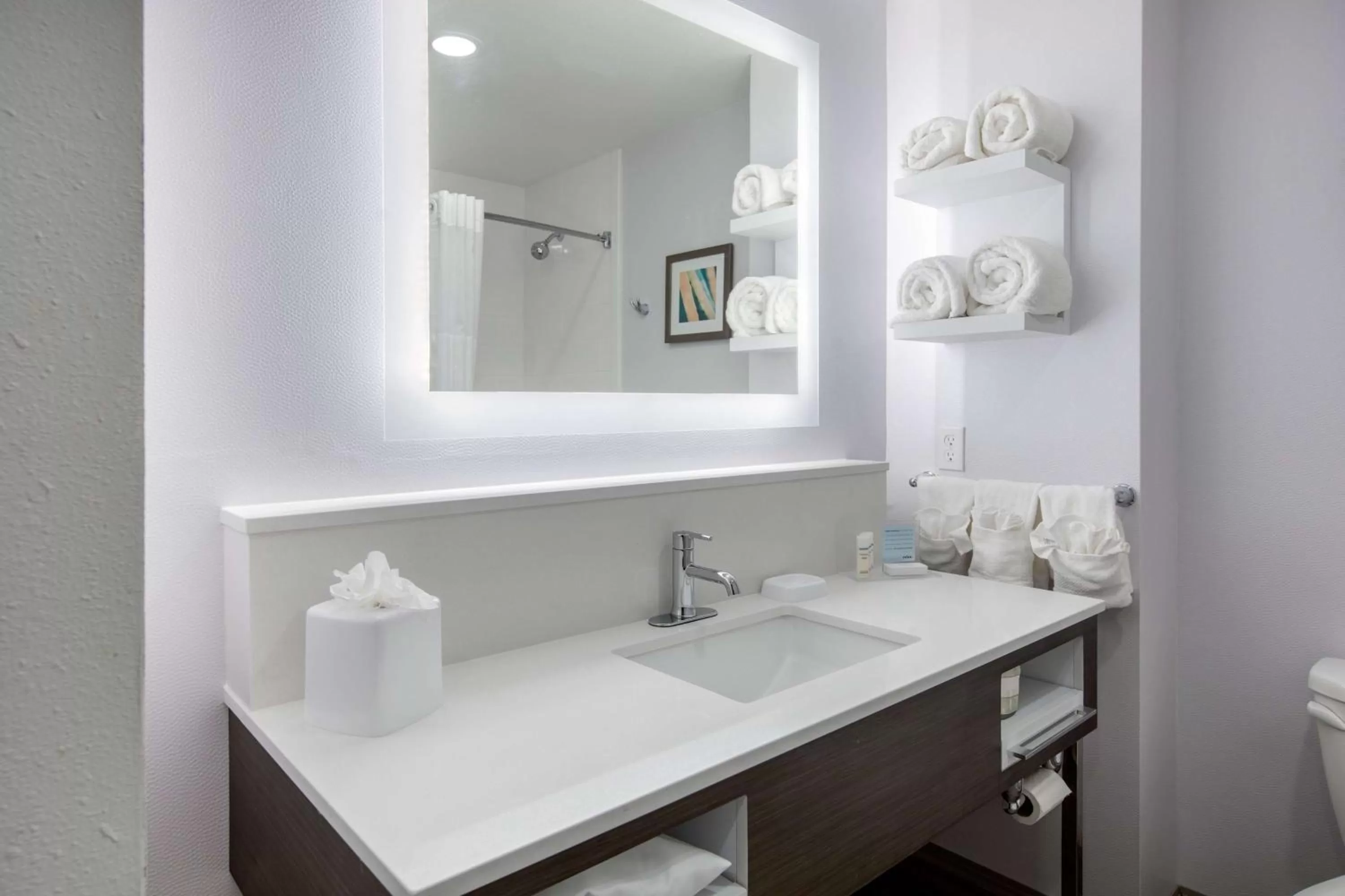 Bathroom in Hampton Inn & Suites Ruidoso Downs