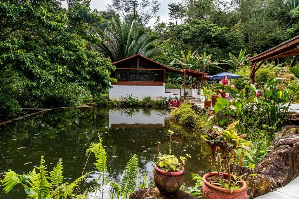 Property Building in Sattva Land