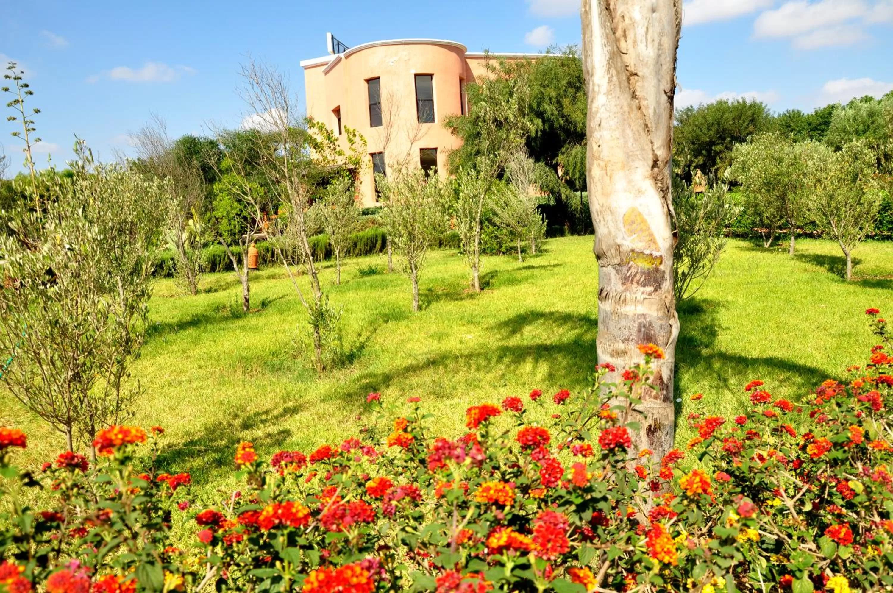 Facade/entrance, Garden in Riad Hamdani