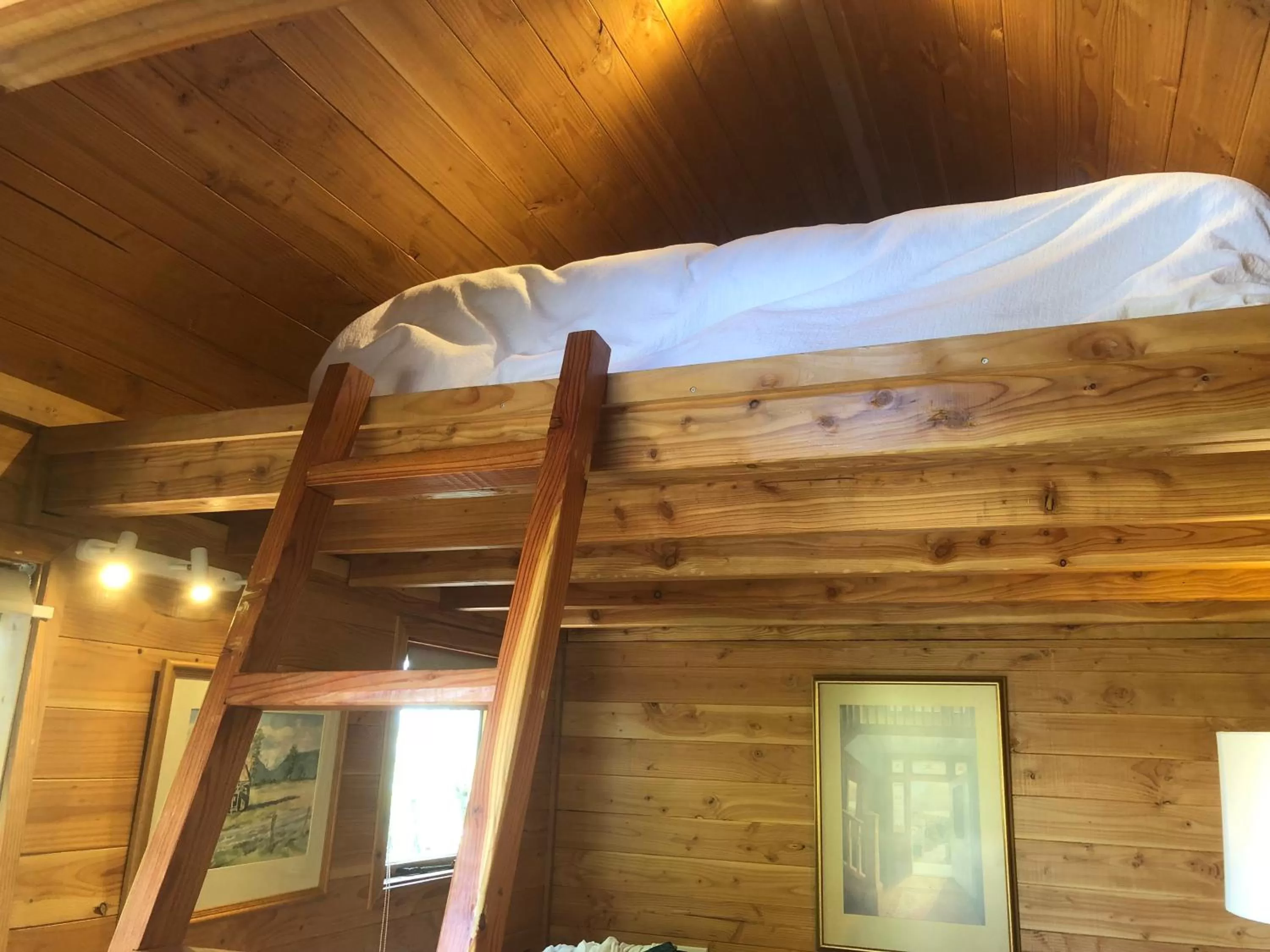 Studio & Cabin on Whitby