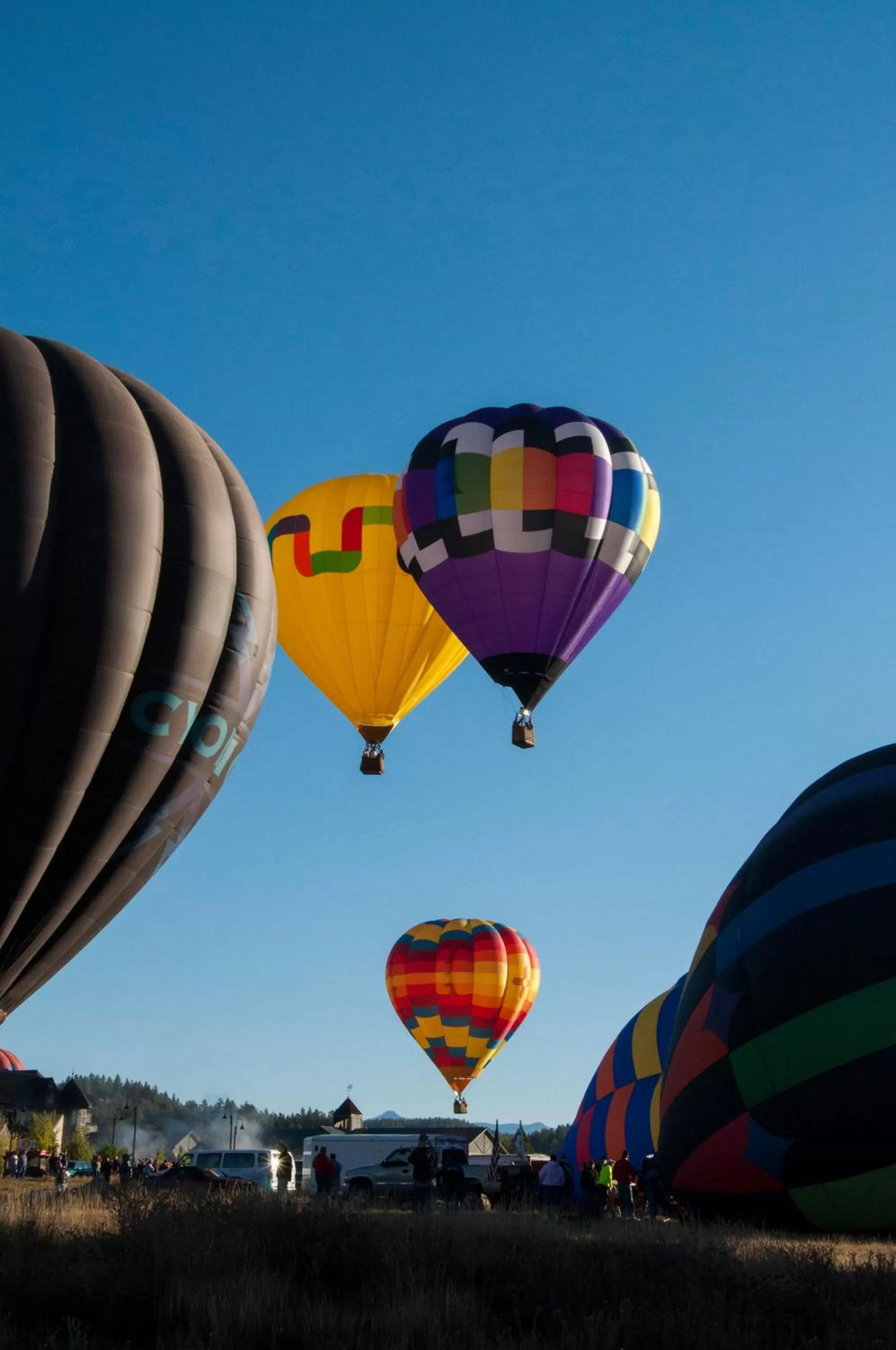 Activities in Alpine Inn