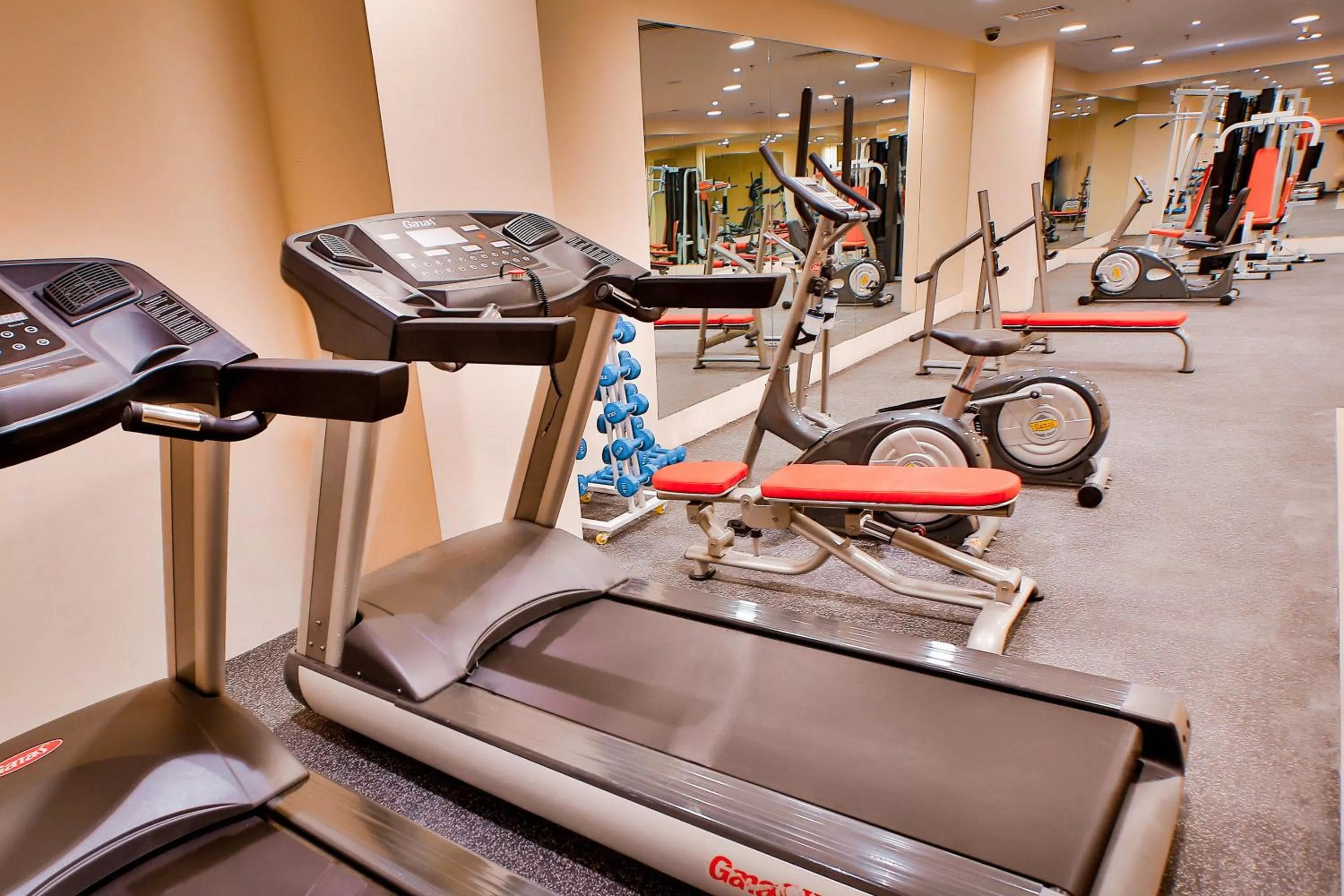 Fitness centre/facilities in Signature Hotel Al Barsha