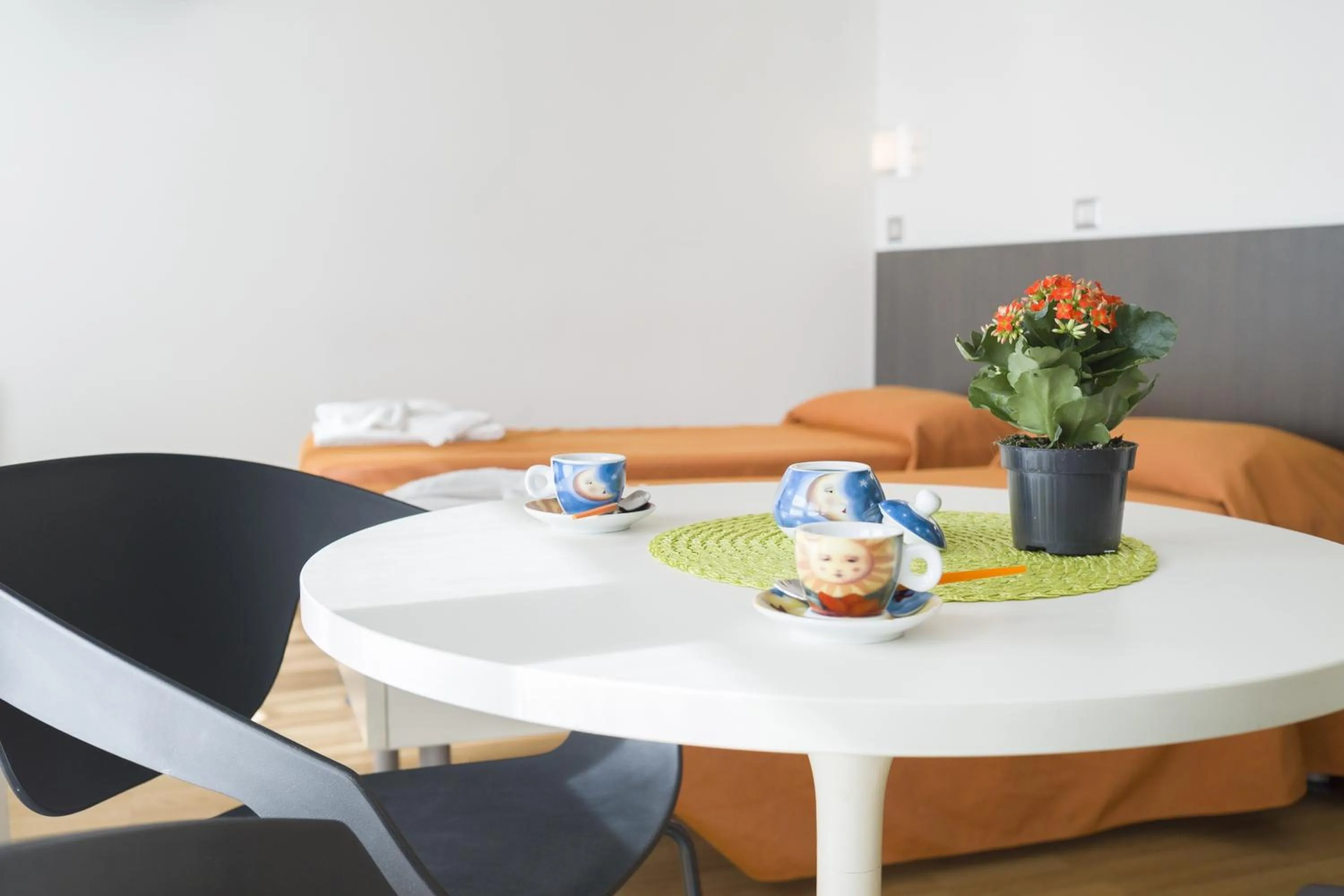 Photo of the whole room in Hotel Sharing